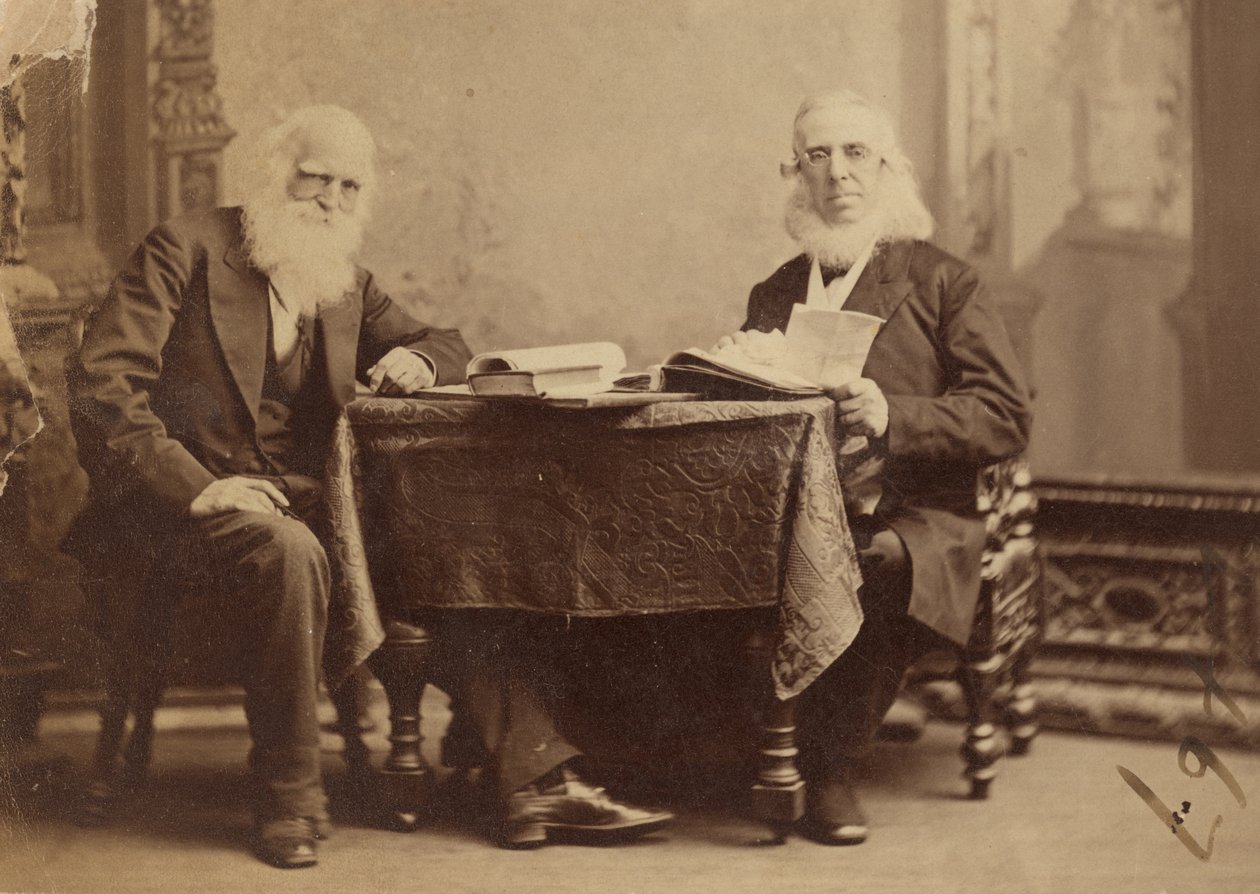 William Cullen Bryant och Peter Cooper av Napoleon Sarony
