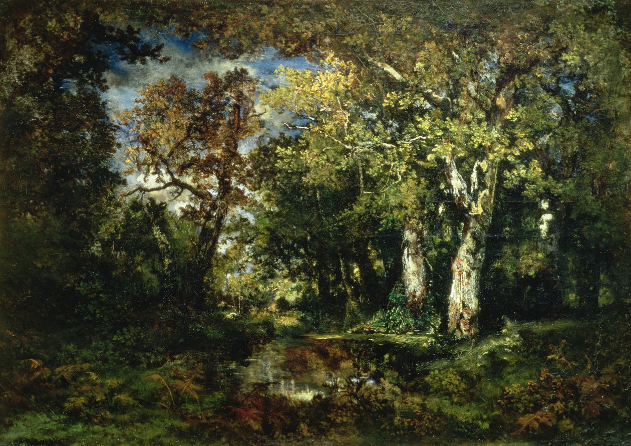 Skogen vid Fontainebleau av Narcisse Virgile Diaz de la Peña