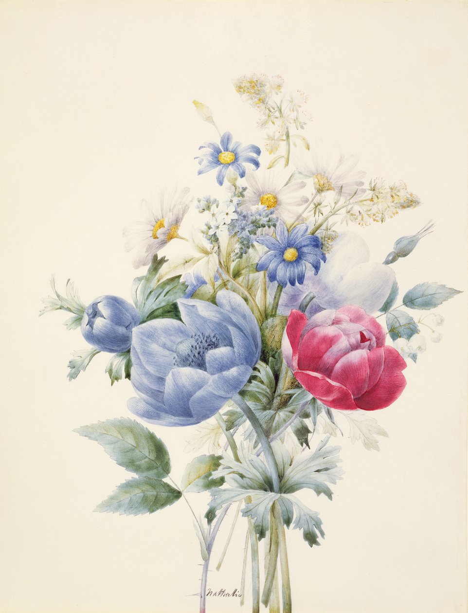 En ros, anemone, mignonette och tusenskönor (wc och gouache på veläng) av Nathalie d