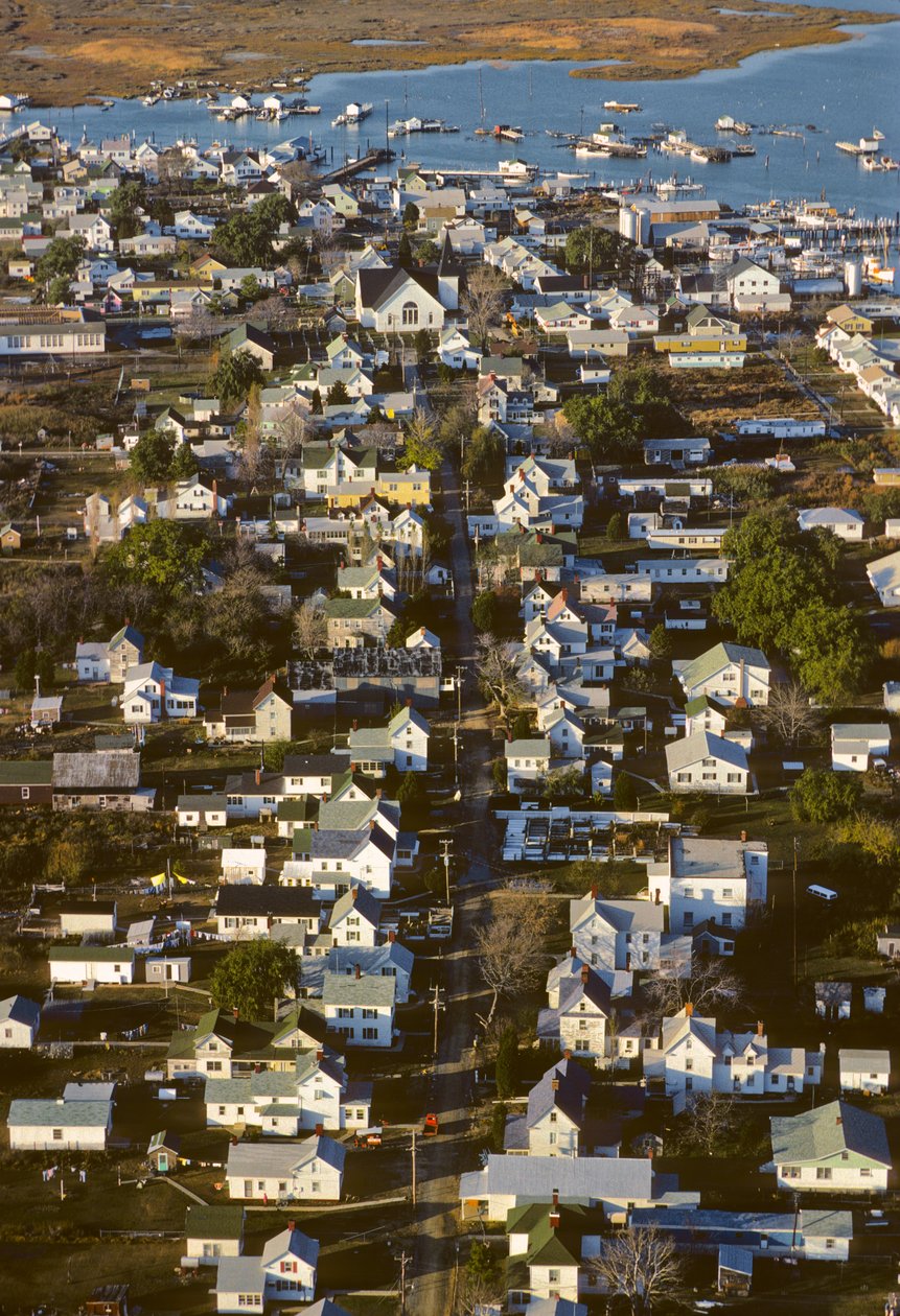 Flygfoto av hus längs King Street, bebyggelsens ryggrad på Tangier Island... av Nathan Benn