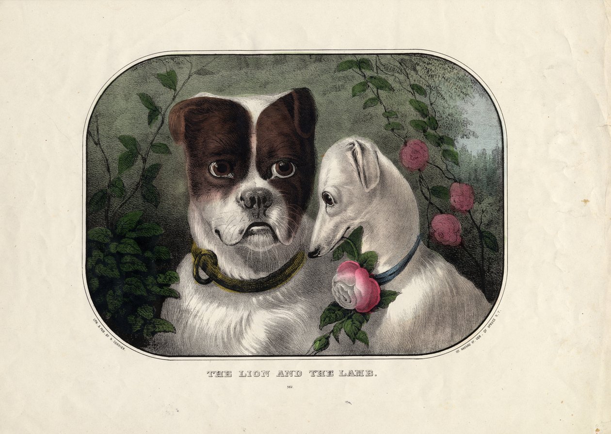 Lejonet och lammet, utgiven av N. Currier, New York, ca 1838-56 av Nathaniel Currier