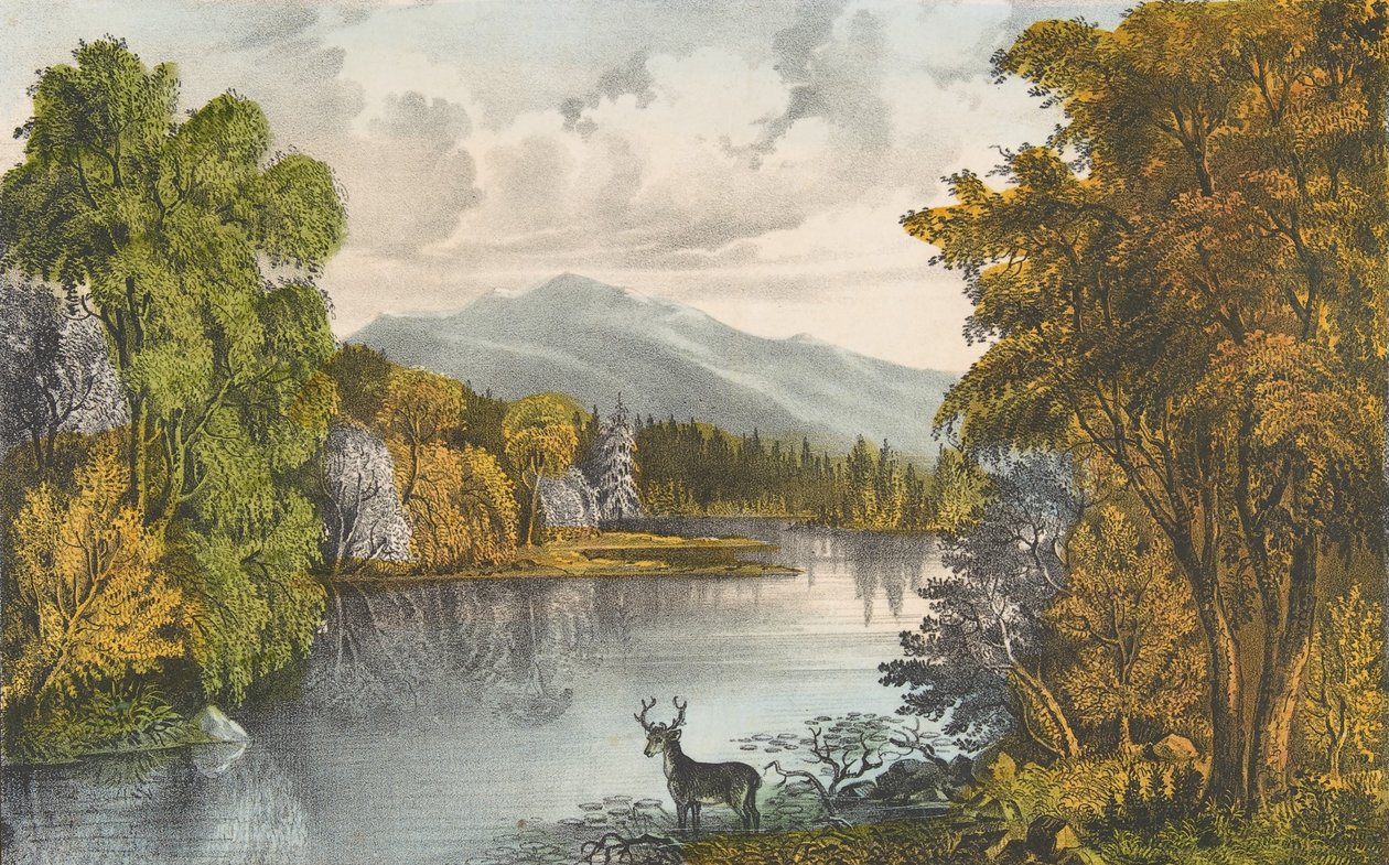 Moosehead Lake, Maine, 1857-72., 1857-72. Skapare: Nathaniel Currier, James Merritt Ives, Currier och Ives. av Currier and Ives