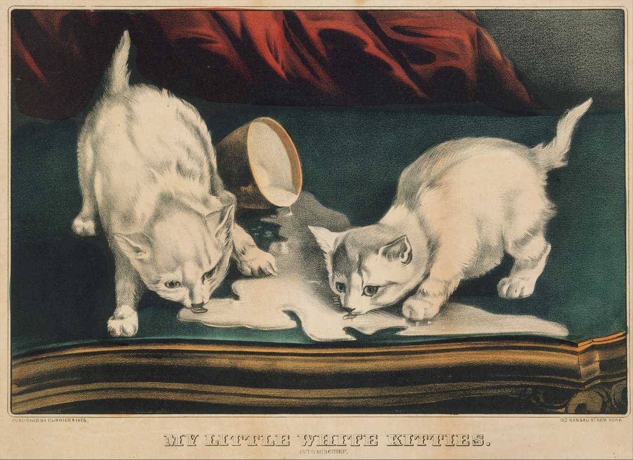 My Little White Kitties - Into Mischief, 1871., 1871. Skapare: Nathaniel Currier, James Merritt Ives, Currier och Ives. av Currier and Ives