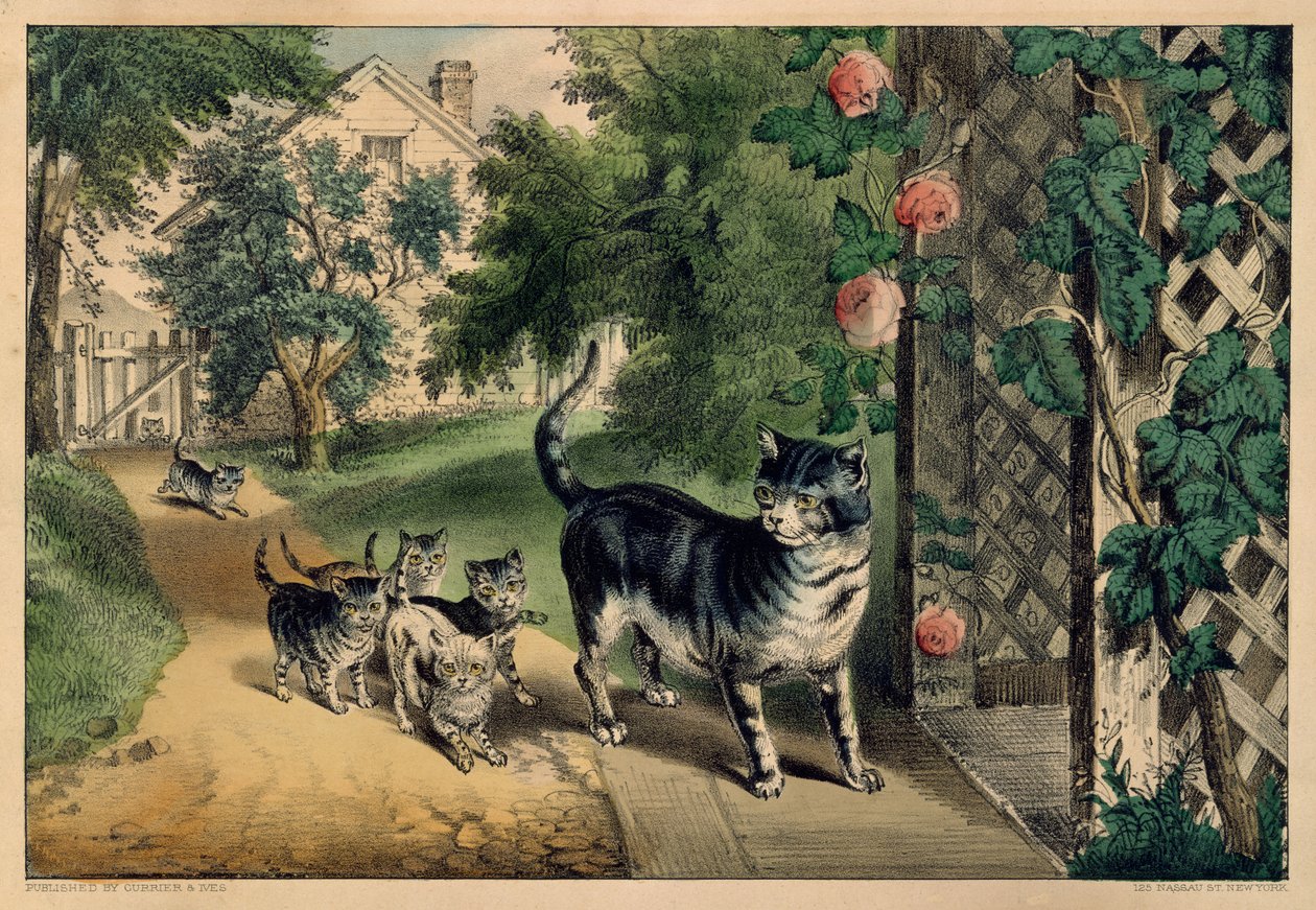 Pussys återkomst, 1874-78., 1874-78. Skapare: Nathaniel Currier, James Merritt Ives, Currier och Ives. av Currier and Ives