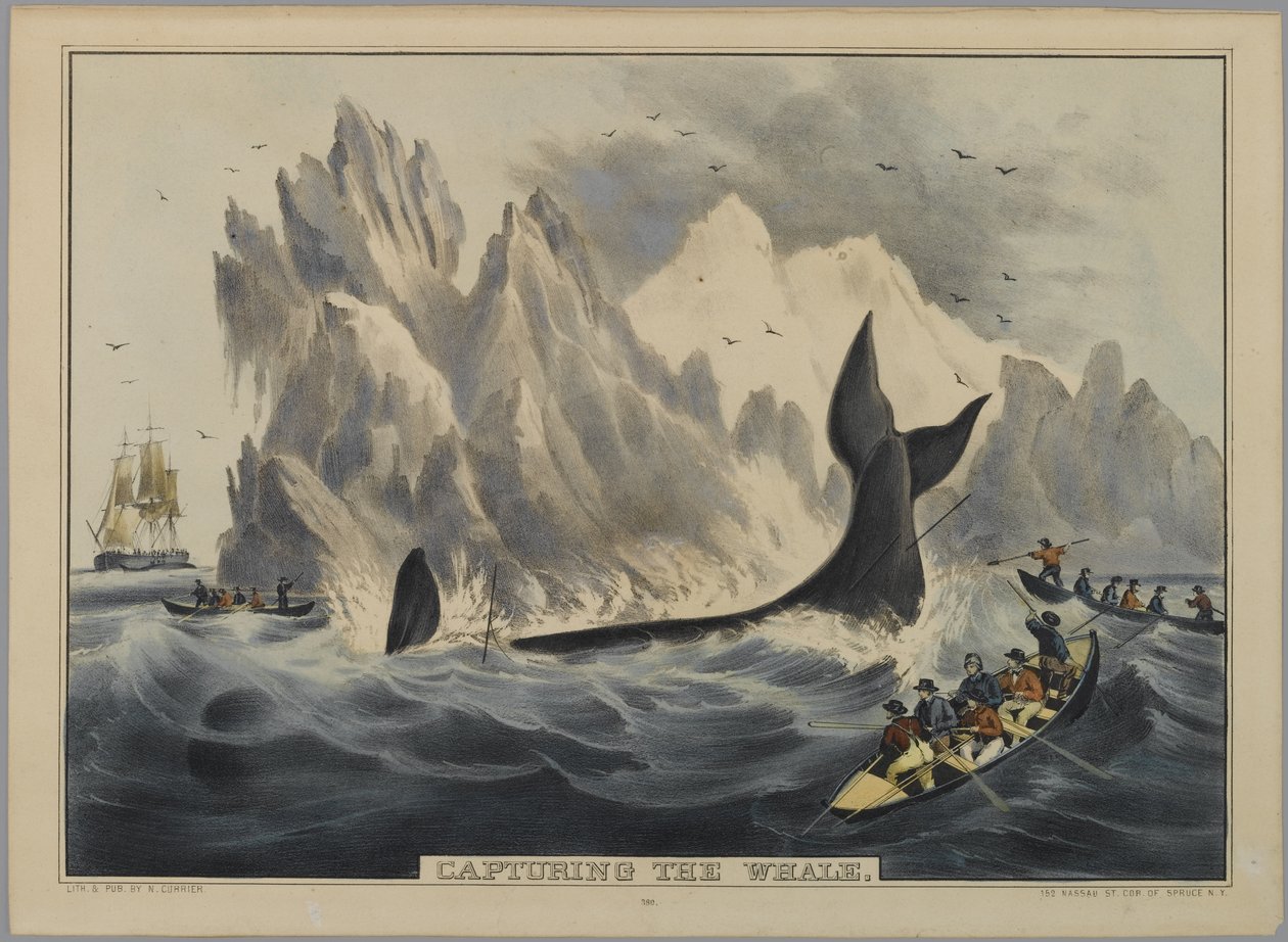 Att fånga valen (handfärgad litho) av Nathaniel Currier