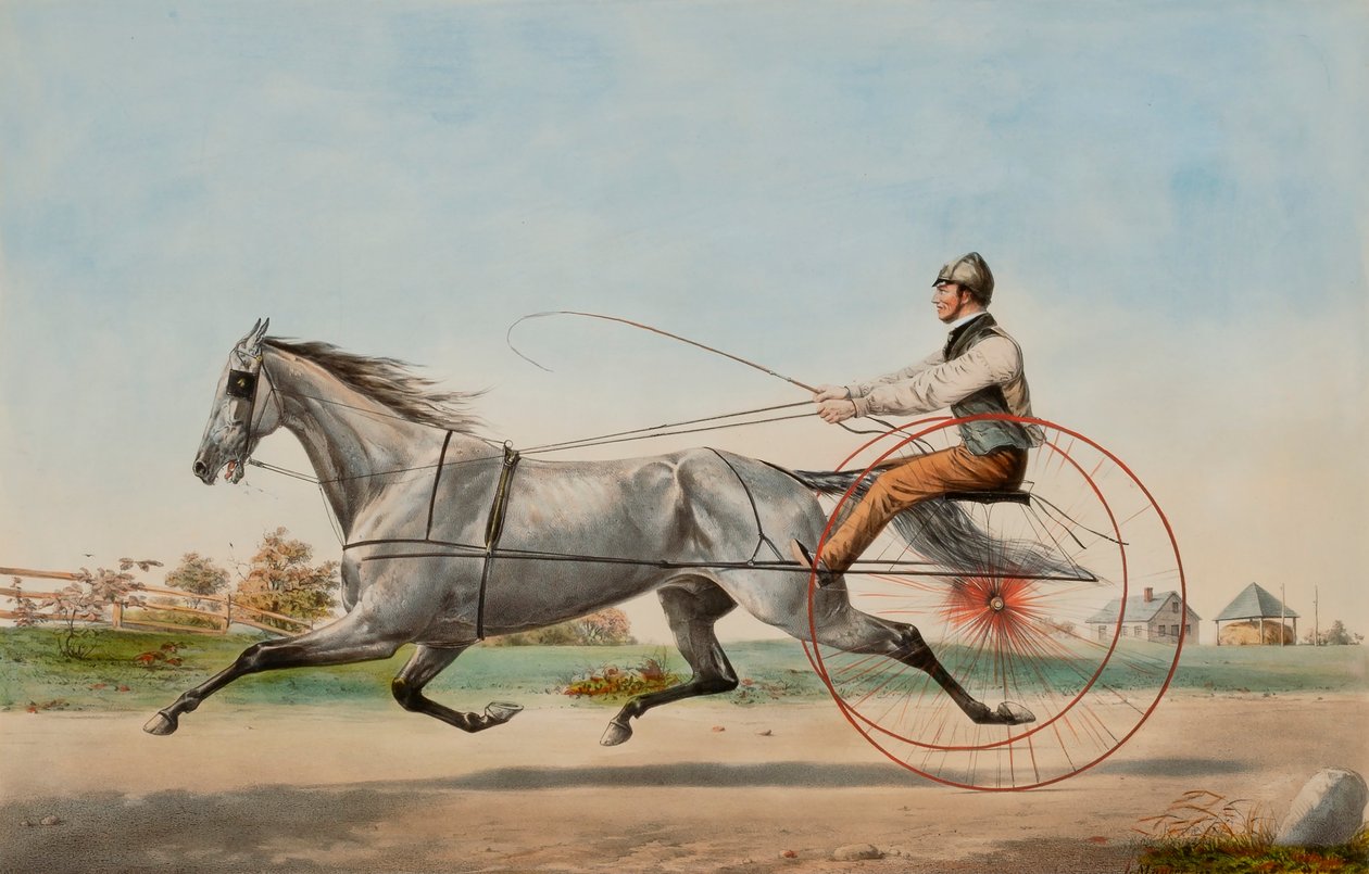 Grå Eddy av Nathaniel Currier
