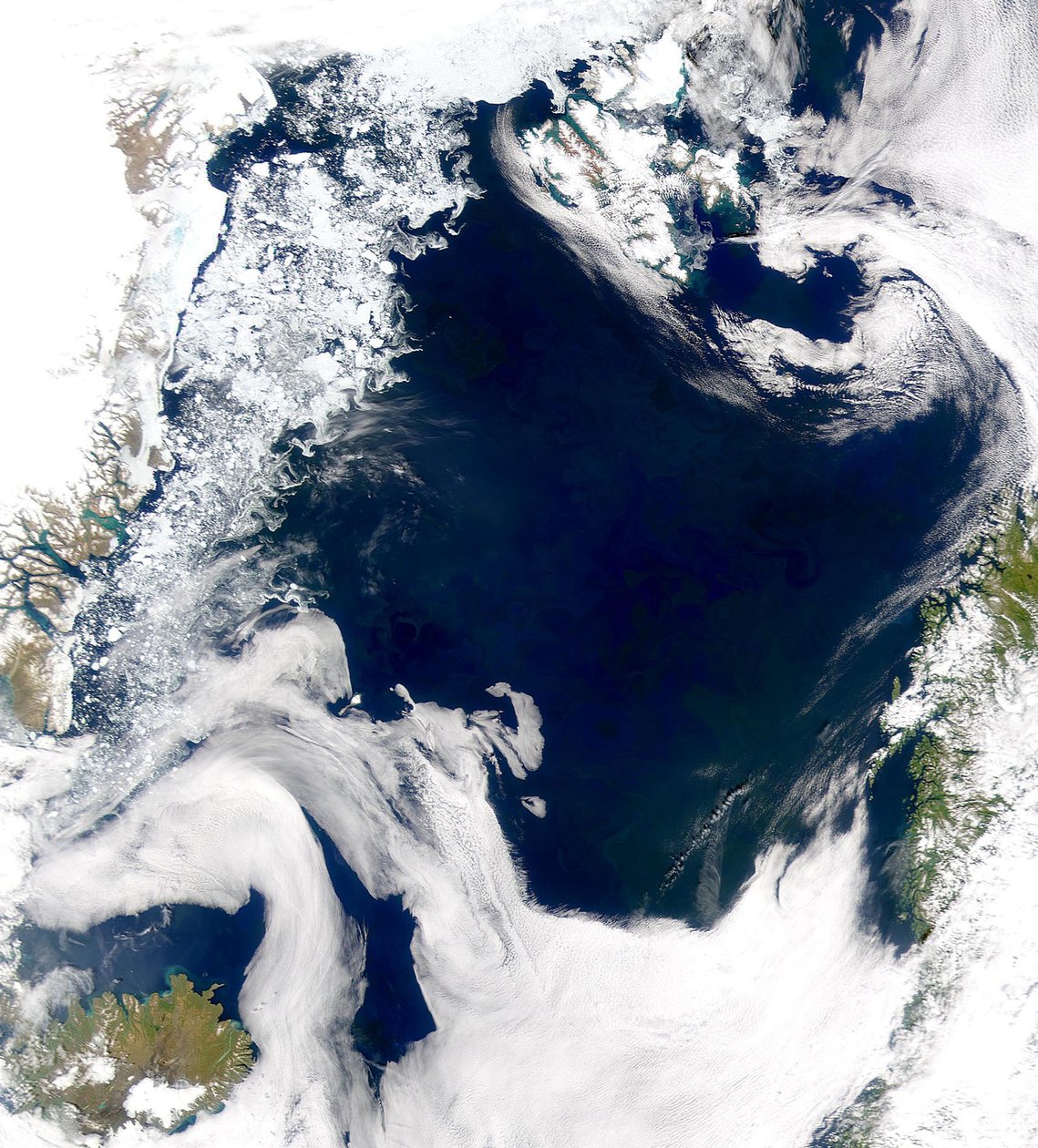 Kredit från SeaWiFS-projektet, NASAGoddard Space Flight Centre och ORBIMAGE Det kalla, produktiva vattnet i Grönlandshavet och Norska havet avslöjas i denna SeaWiFS-bild. av National Aeronautics and Space Administration National Aeronautics and Space Administration