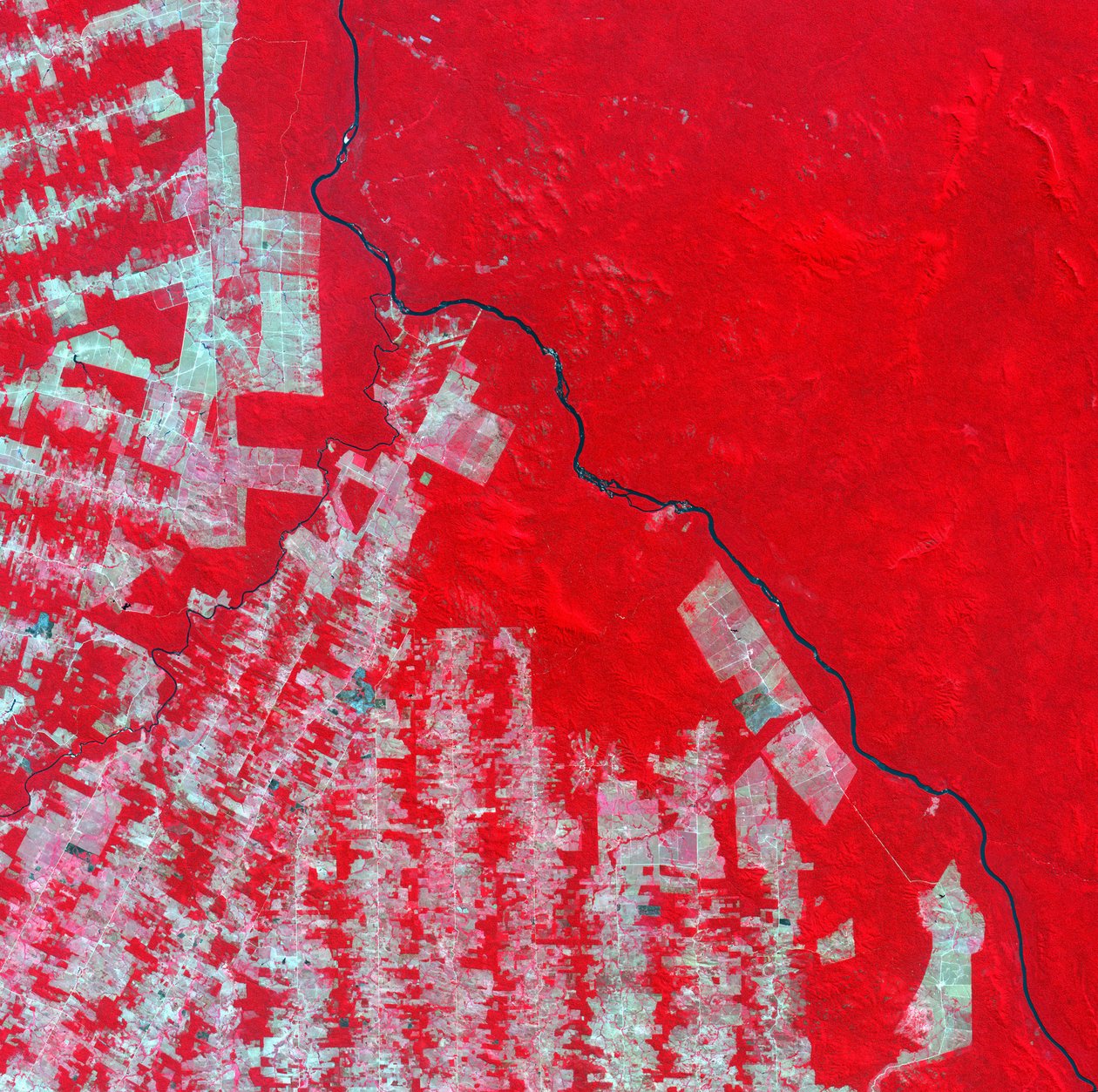 Satellitbild i falska färger av avskogning i delstaten Rondonia, Brasilien år 2000. Rosa och bruna områden är röjt land, tropisk regnskog visas som klarröd. Kredit: NASA. Sydamerika vetenskap av National Aeronautics and Space Administration National Aeronautics and Space Administration