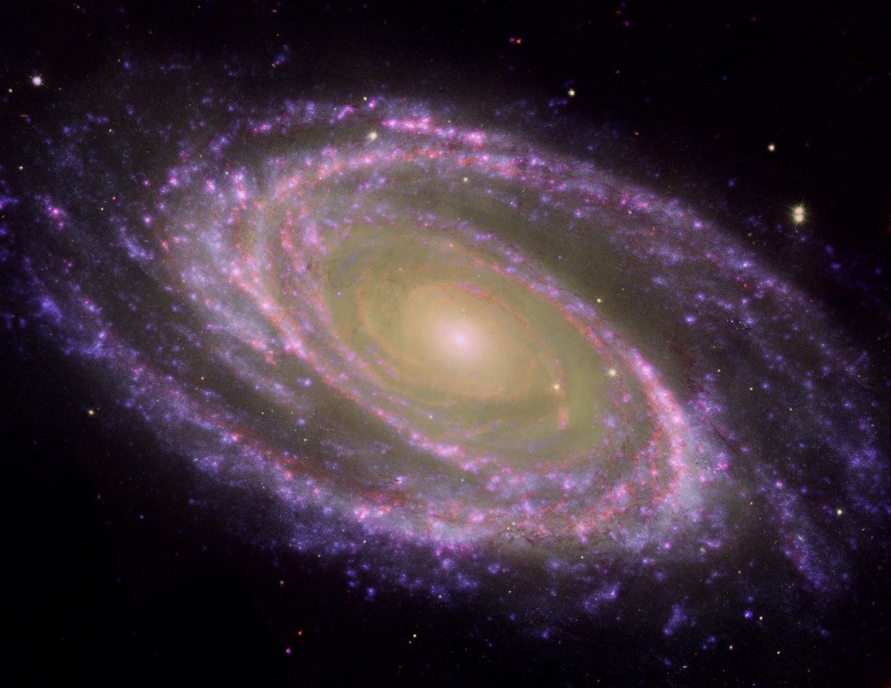 Spiral Galaxy M81, lutad i en sned vinkel mot markbunden siktlinje, sett i flervågsljus. Kredit NASA. Vetenskap Astronomi Stjärnrymd av National Aeronautics and Space Administration National Aeronautics and Space Administration