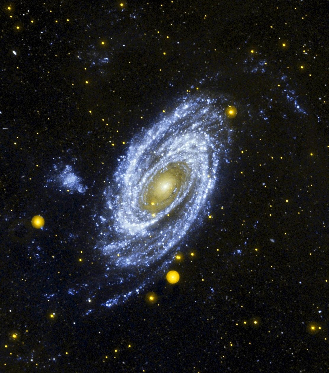 Spiral Galaxy M81 sett från rymdteleskopet Hubble. Kredit NASA. Vetenskap Astronomi Stellar av National Aeronautics and Space Administration National Aeronautics and Space Administration