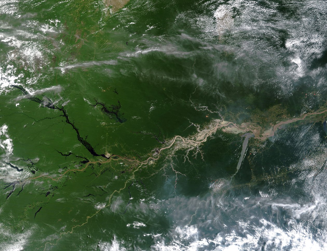Sannfärgad satellitbild av floden Amazonas, nedför vilken en femtedel av flodvattnet rinner in i jordens hav. Kredit: NASA. Sydamerikas vetenskapsgeografi av National Aeronautics and Space Administration National Aeronautics and Space Administration