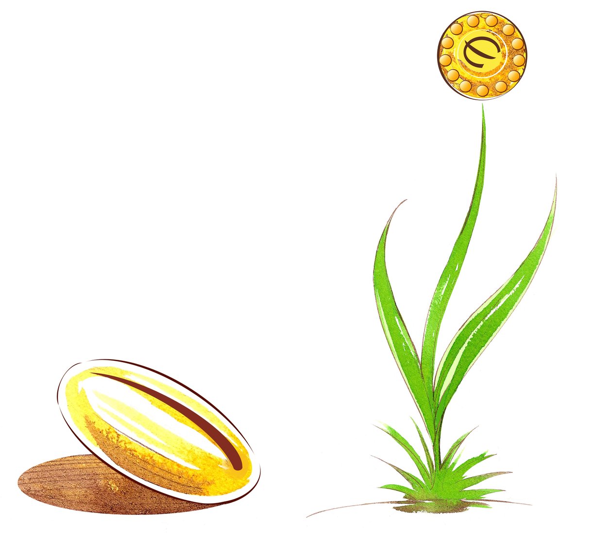 Seed and shoot - illustration av finansiell allegori av Neale Osborne