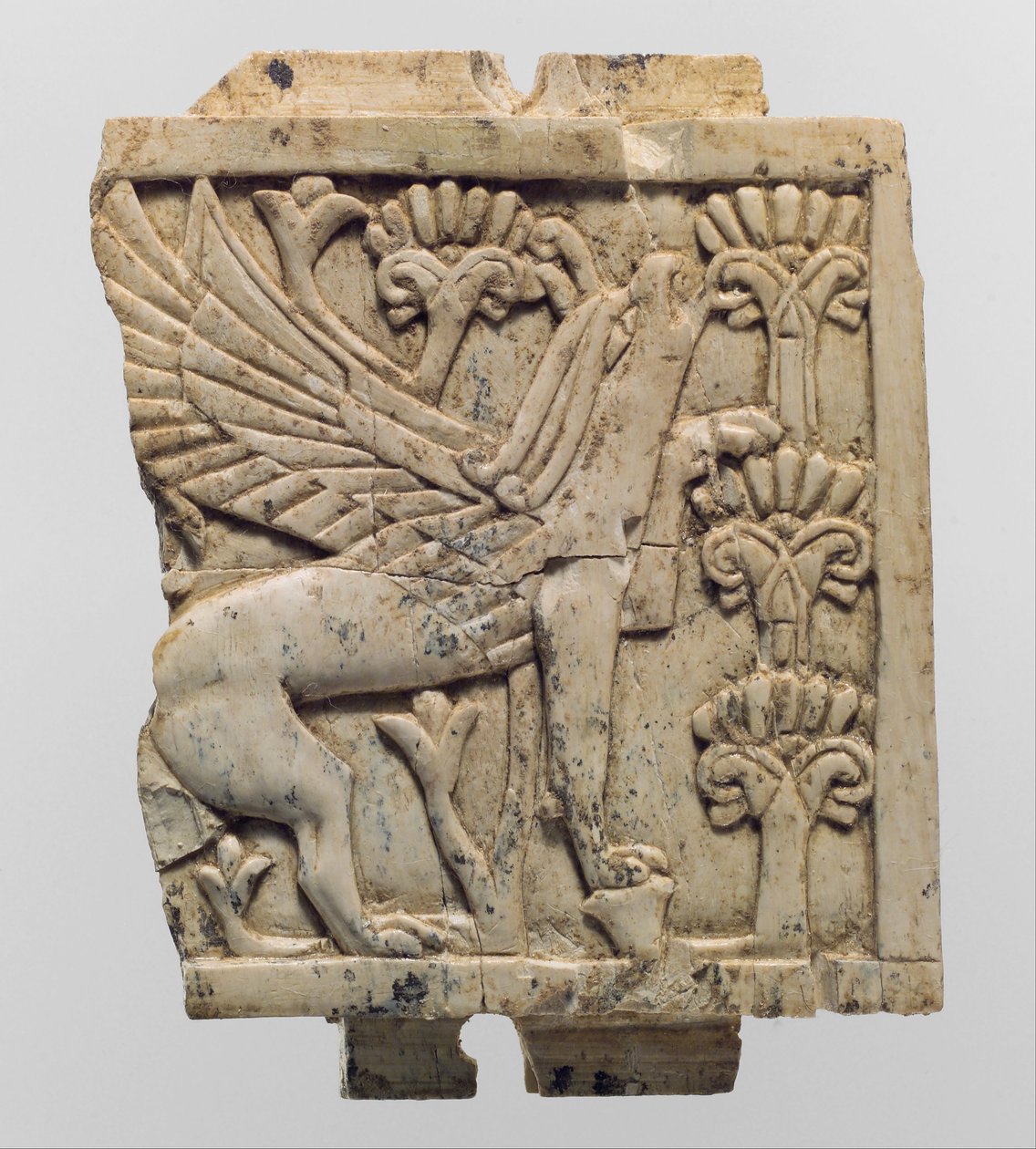 Möbelplakett snidad i relief med en grip i ett blomsterlandskap, c.900–800-talet f.Kr. (elfenben) av Neo Assyrian