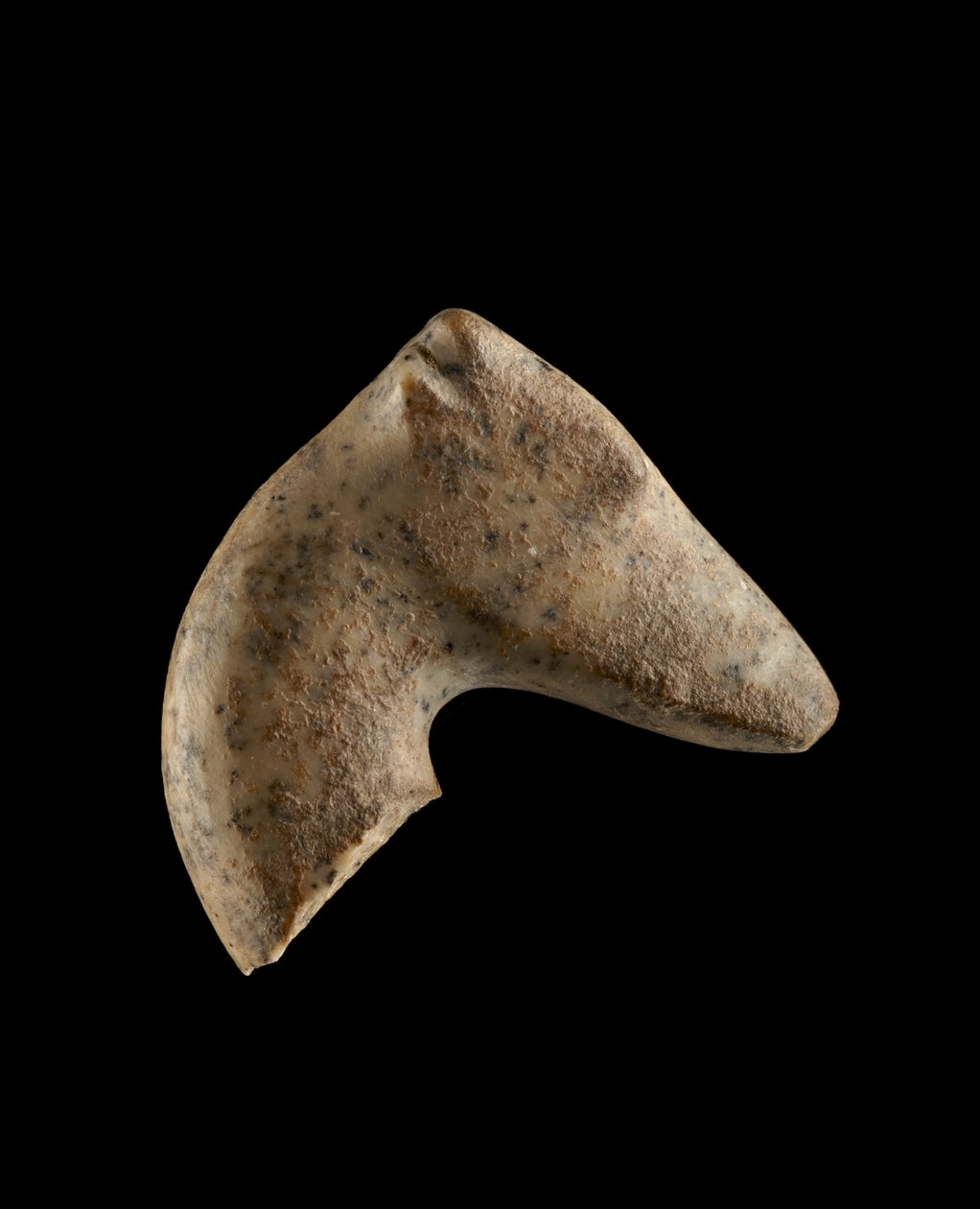 Huvud av en kvinnlig persisk gasell, 6000-5500 f.Kr. (granit) av Neolithic