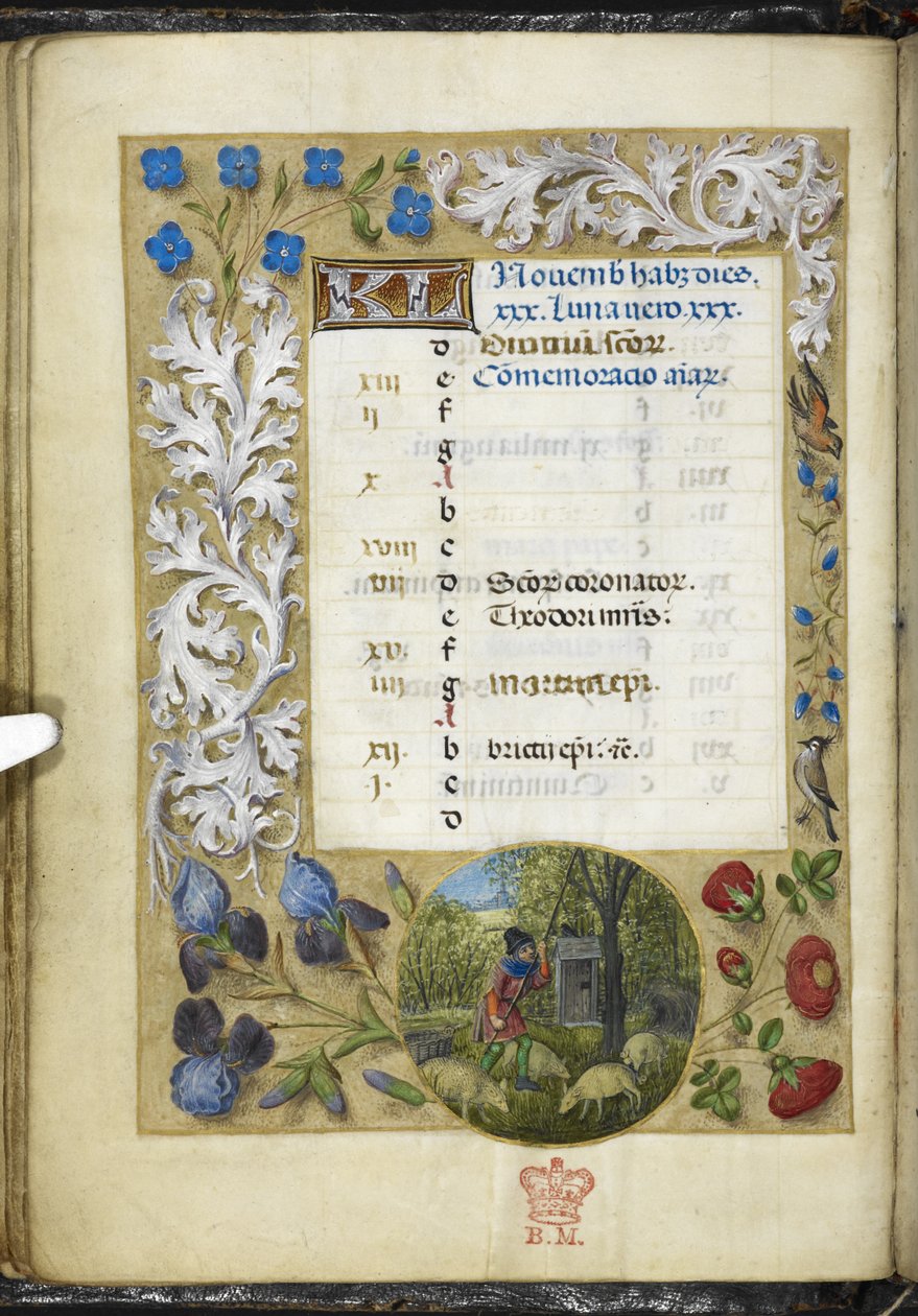 Lägg till MS 38126 f.11v kalendersida för november, från 