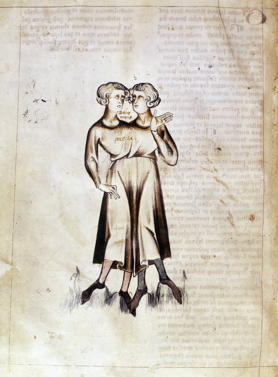 Sloane 3983 f.8v Ritning av Tvillingarna, från en översättning av en persisk astrologisk avhandling av Jafar ibn Muhammad (vellum) av Netherlandish School