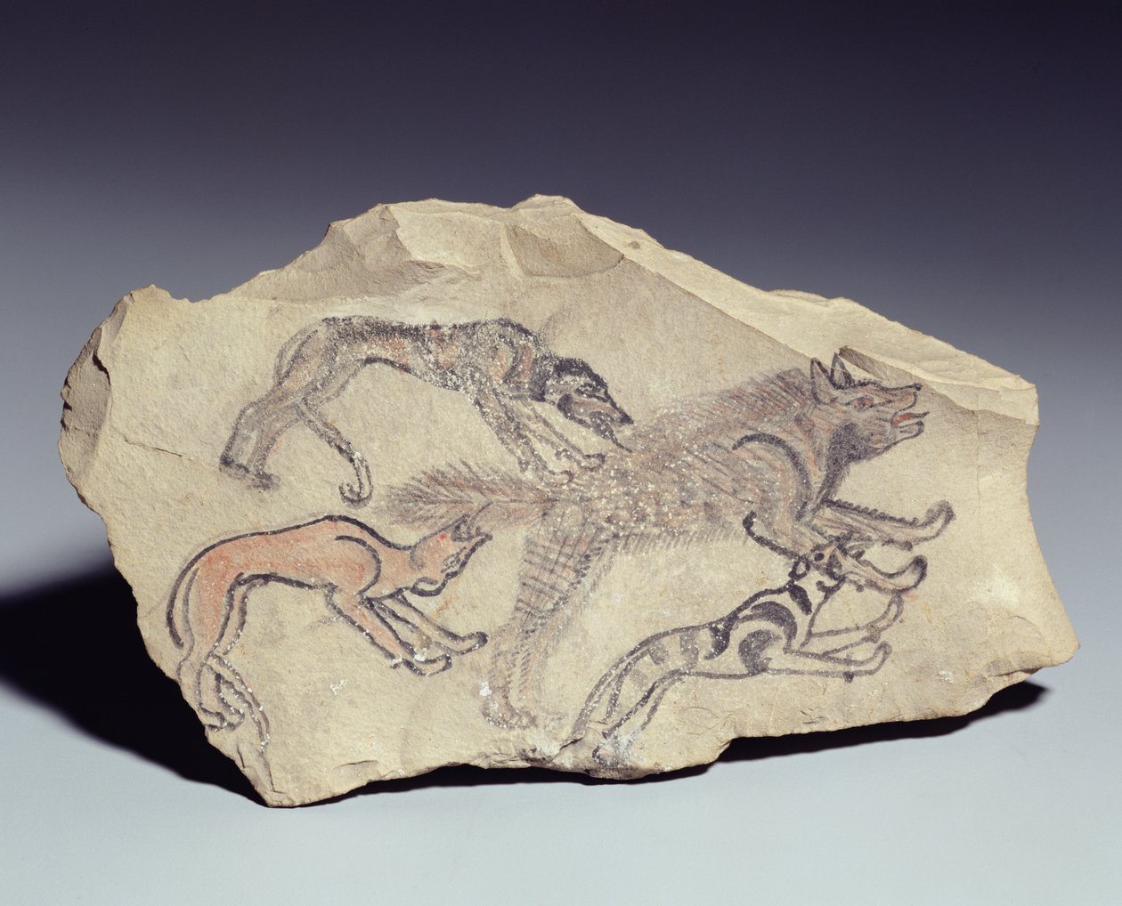 Ostrakon som föreställer en hund som jagar en hyena (kalksten) av New Kingdom Egyptian