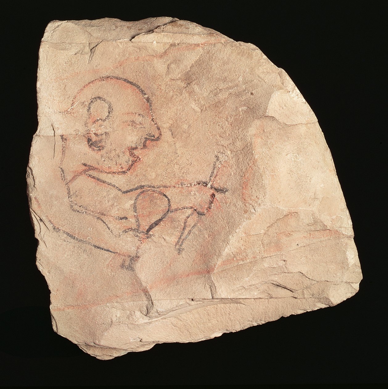 Ostracon föreställande en orakad stenhuggare, möjligen från Deir el-Medina, 19:e-20:e dynastin, 1200-1153 f.Kr. (målad kalksten) (se även 282583) av New Kingdom Egyptian