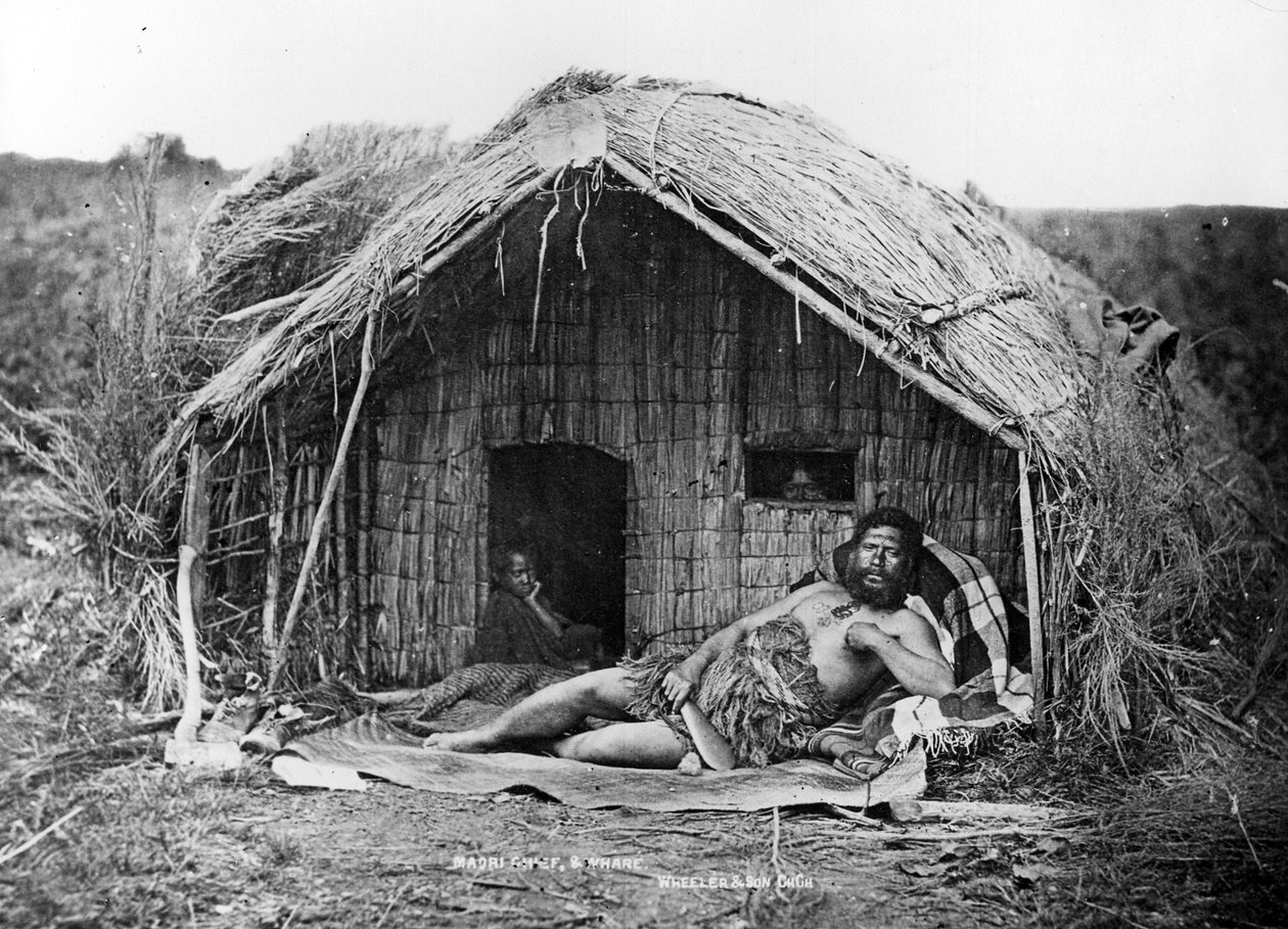 Maorihövding och hus, ca 1863-80 av New Zealand Photographer