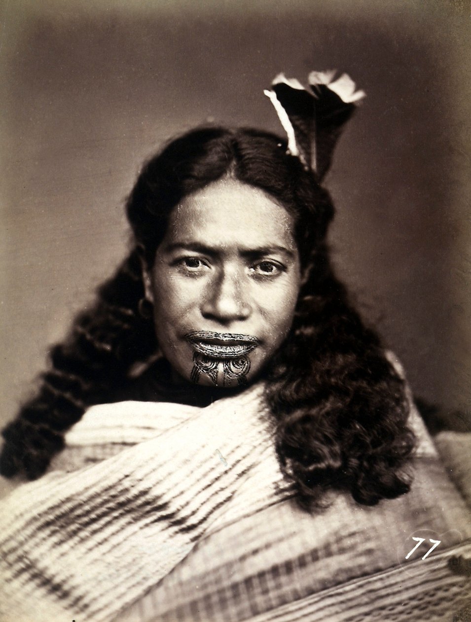 Porträtt av en maori med ett tatuerat ansikte, ca 1886-88 av New Zealand Photographer