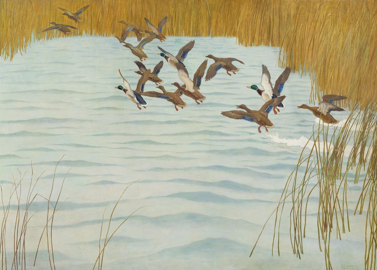 Gräsänder på hösten, 1941 av Newell Convers Wyeth