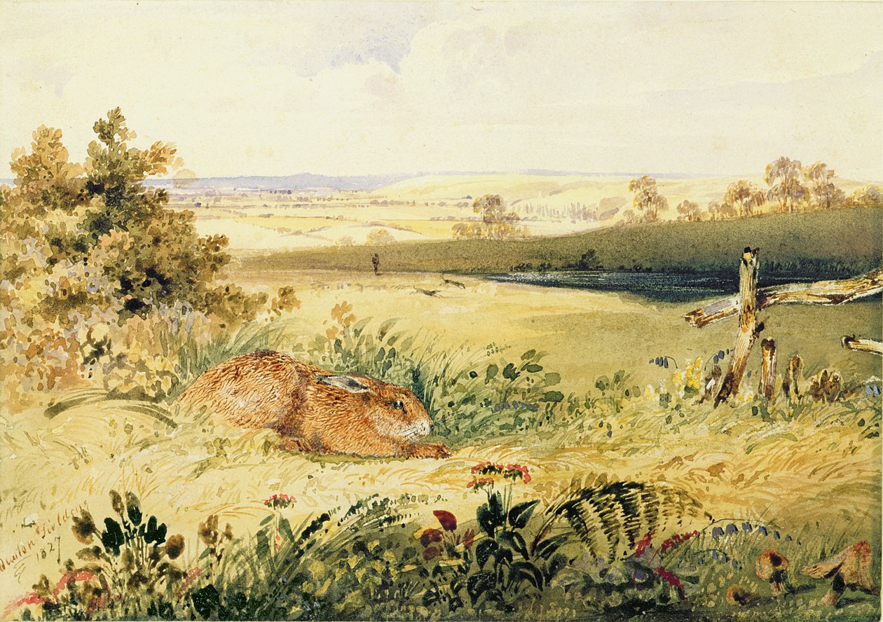 Hare i ett landskap, 1827 (wc med kroppsfärg, gummi arabicum och grafit på papper) av Newton Fielding