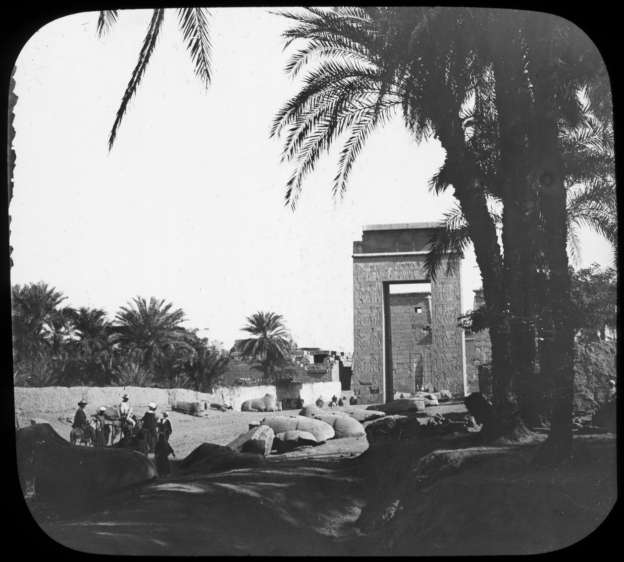 Avenue of Sfinxes, Karnak, Egypten, c1890 av Newton and Co