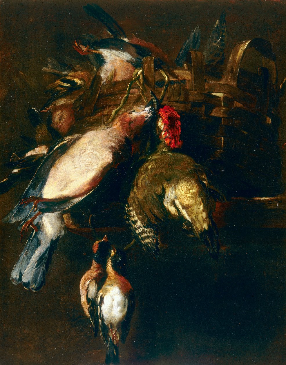 Stilleben med cestode, en rulle och två finkar av Nicasius 1620 78 Bernaerts