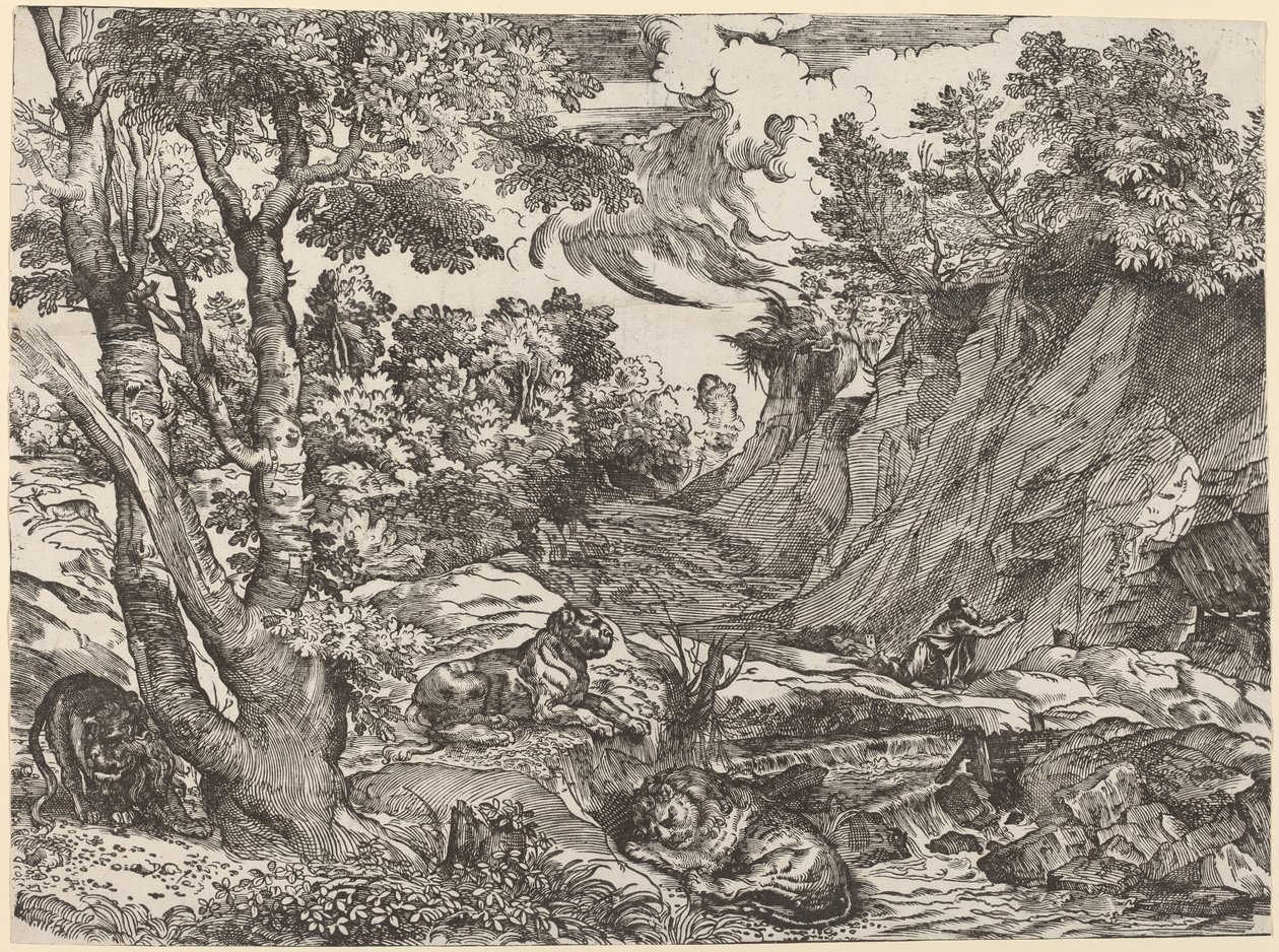 Saint Hieronymus i vildmarken av Niccolò Boldrini after Titian