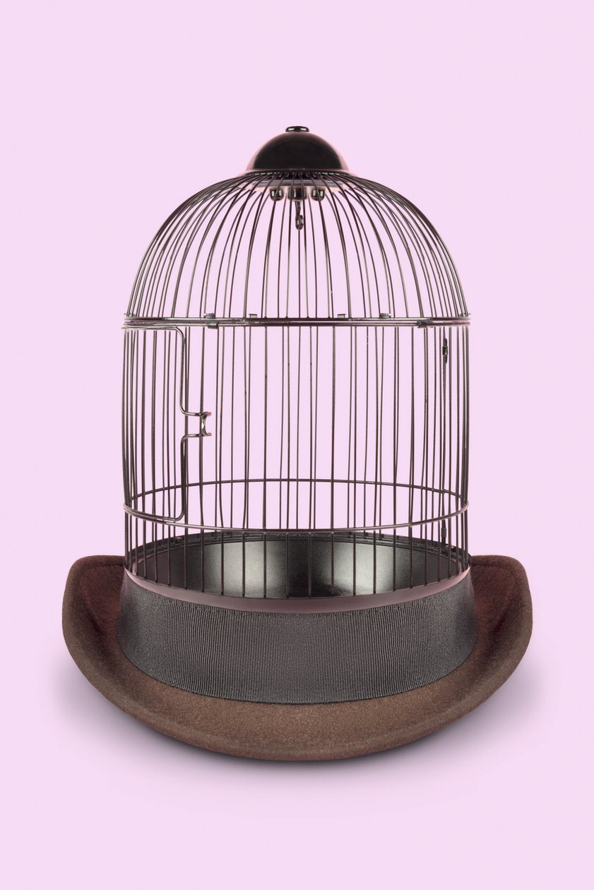 Mental Cage, 2020 (foto) av Niccolò Fioriti
