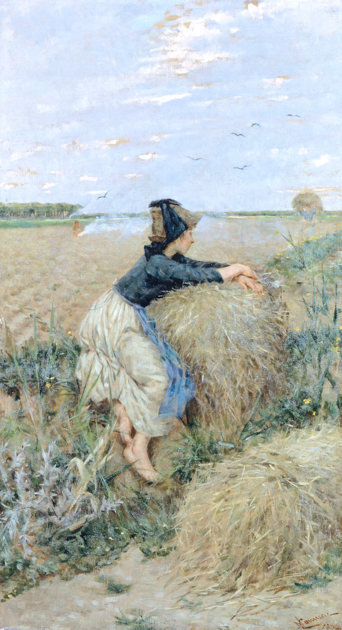 Vetegräs i Tombolo av Niccolo Cannicci