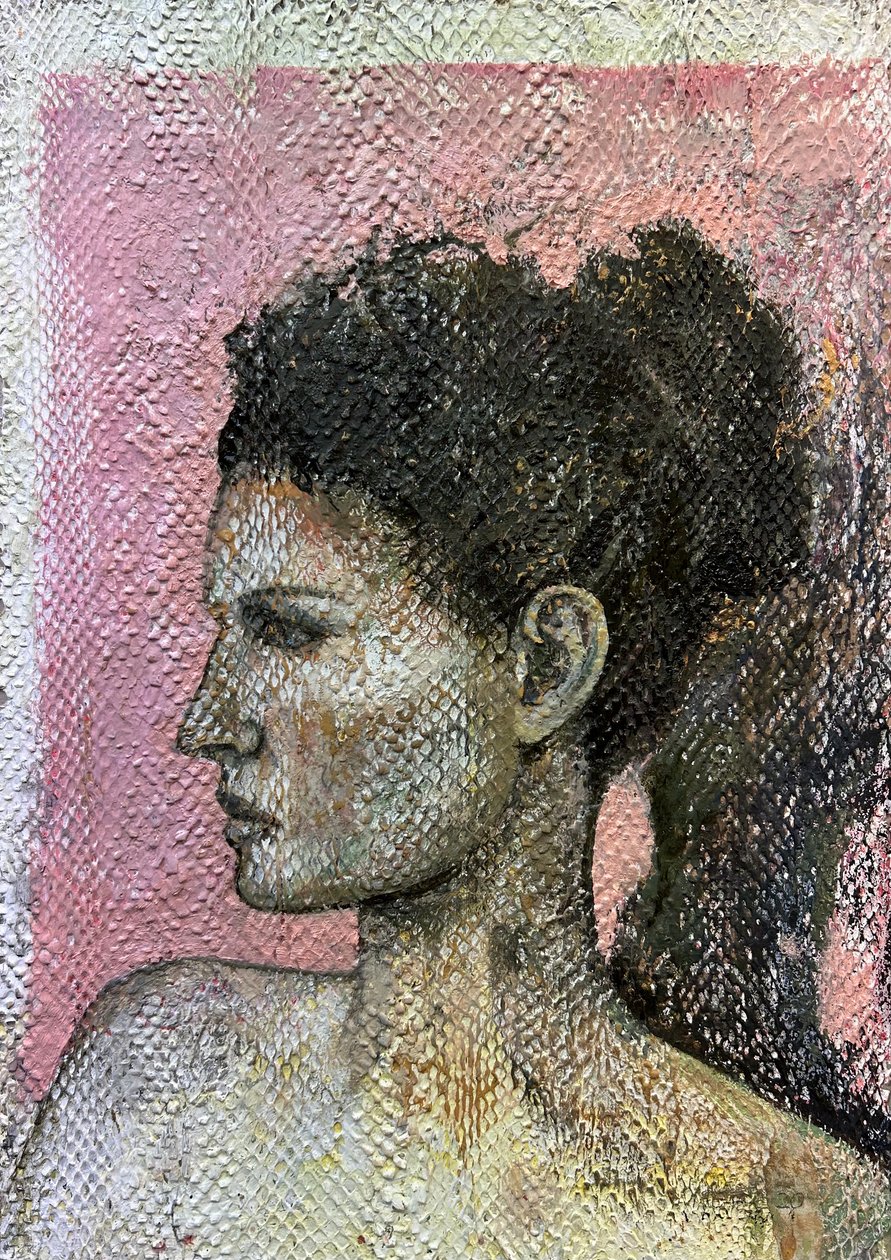 Veneta, 2019-23 (ormskinn på kartong) av Nick Williams