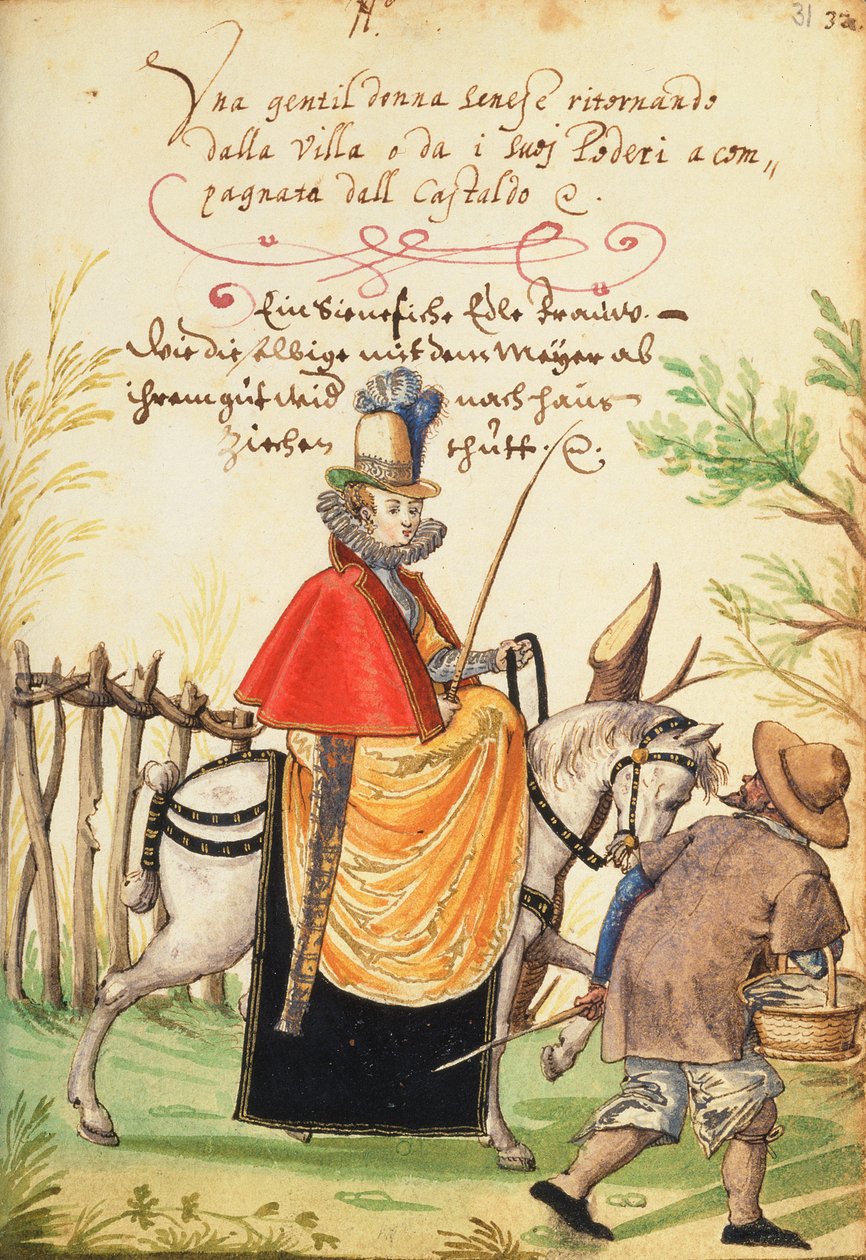 MS W.477 fol.31 Illustration från Kippells 