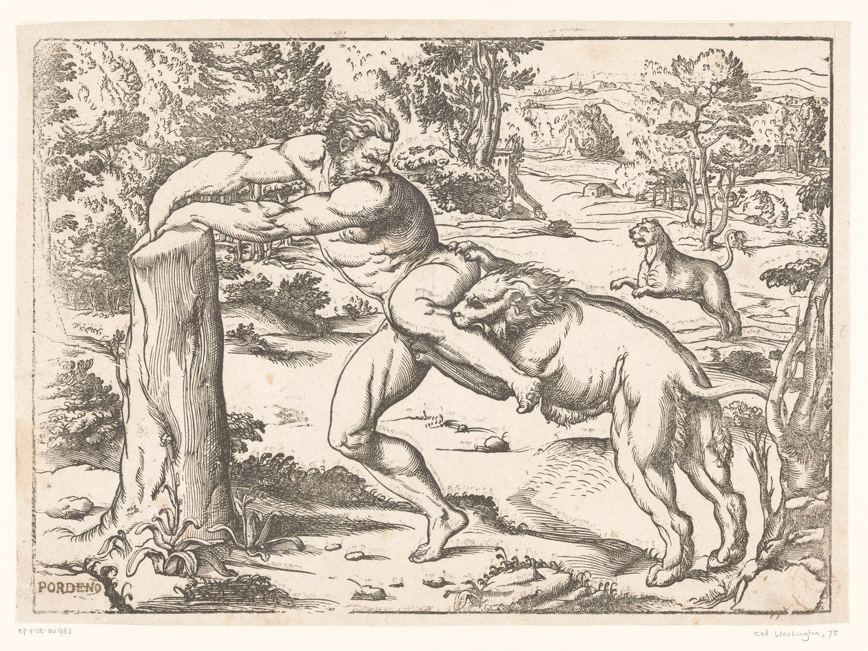 Milo av Croton attackerad av ett lejon av Nicolò Boldrini (attributed to)
