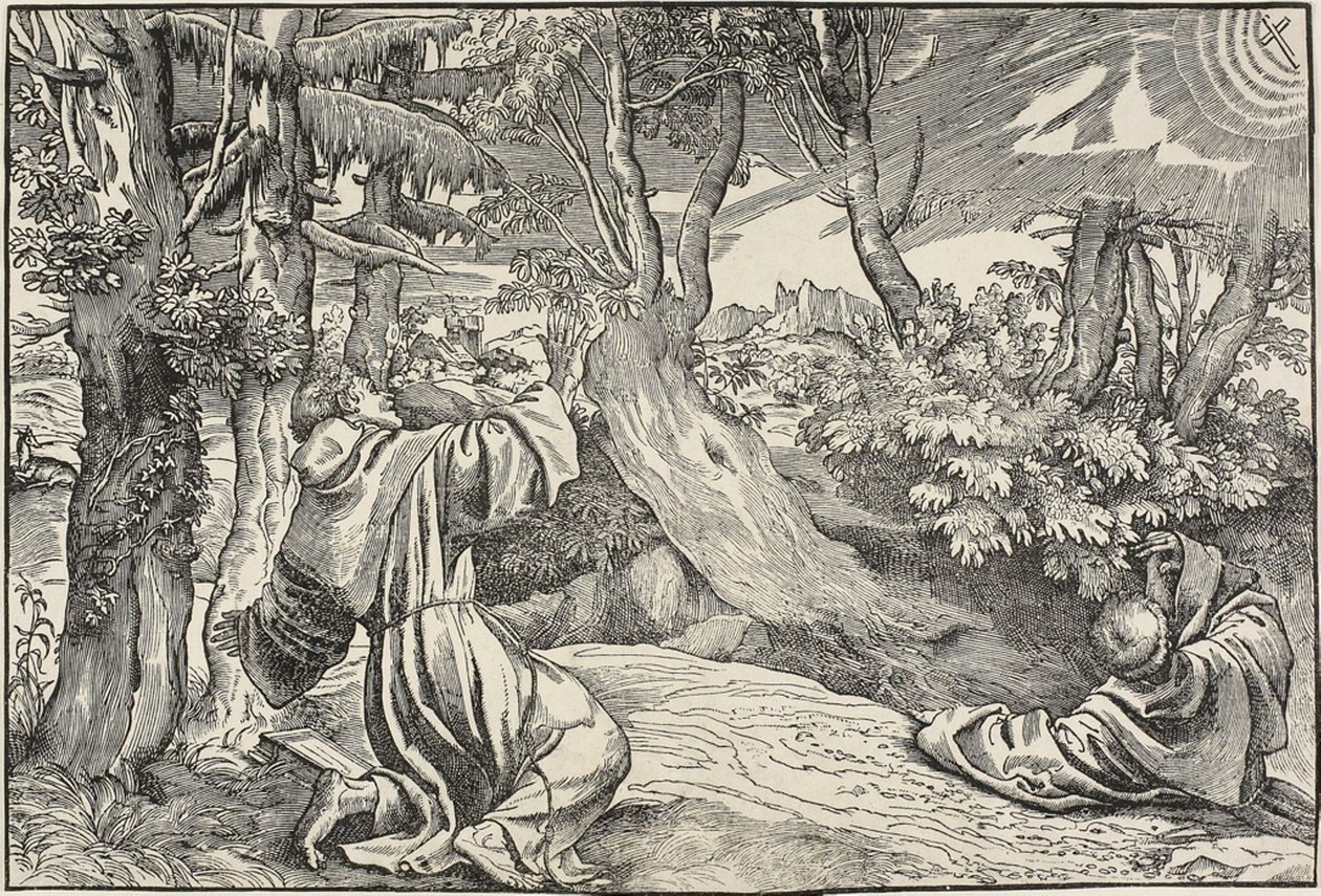 Saint Francis tar emot Stigmata av Nicolò Boldrini