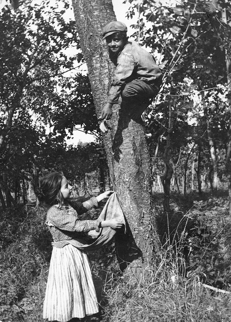 En liten pojke uppe i ett fruktträd plockar frukt till en liten flicka, Molise av Nicola Biondi