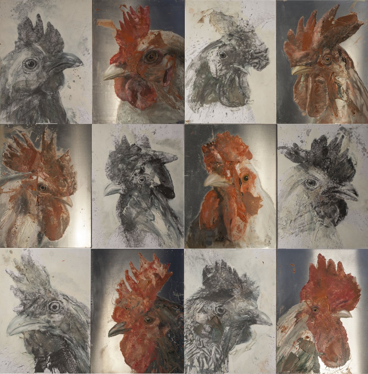 Grill roosters, 2019 (olja på aluminium och grafit på papper) av Nicola Pucci
