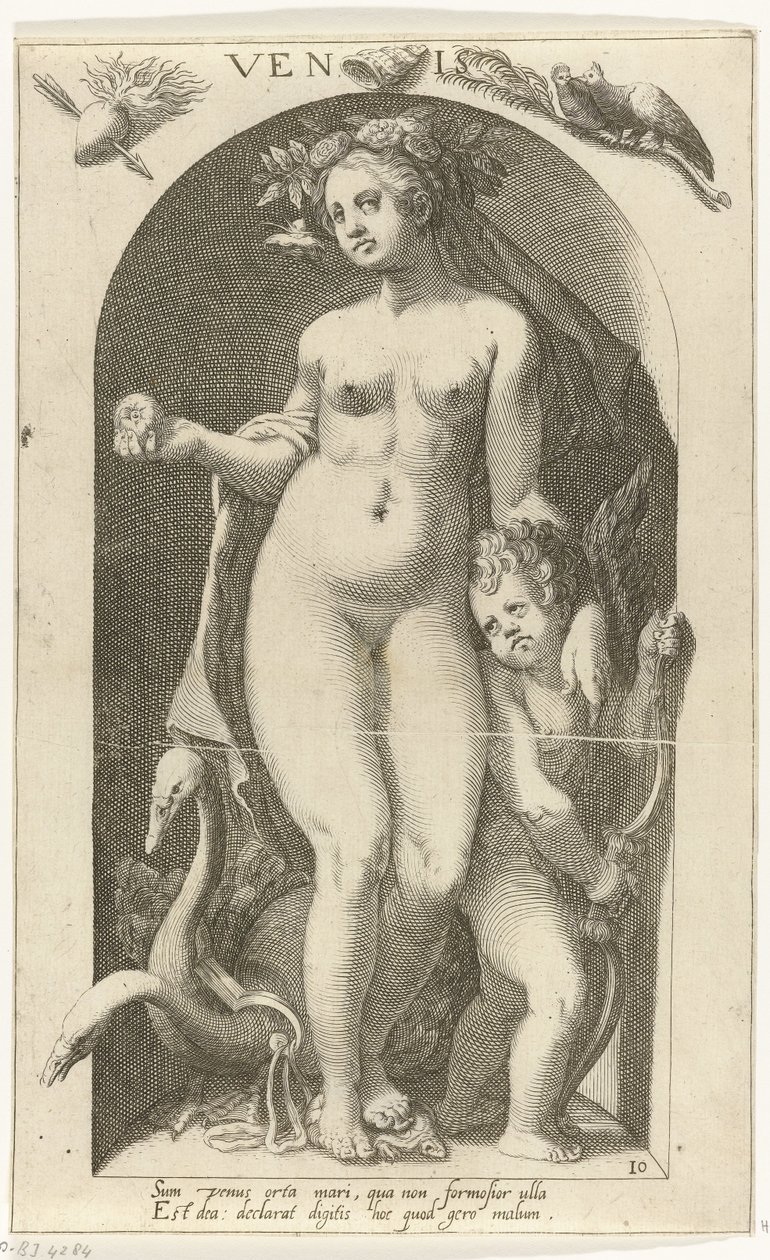 Venus Venis (titel på objekt) Ancient Gods (serietitel) av Nicolaas Braeu
