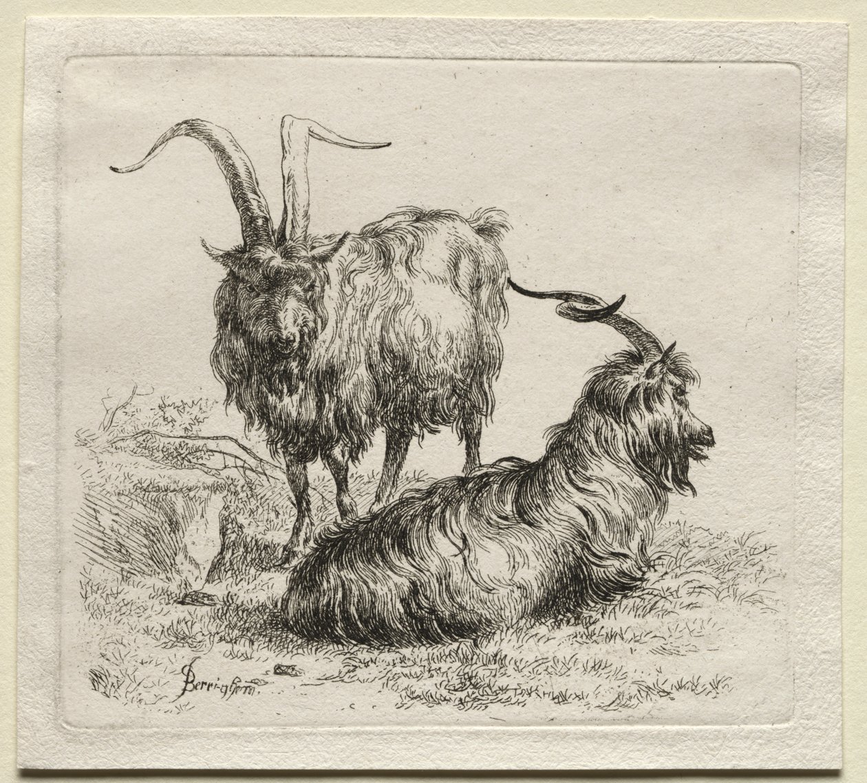 Animalia: Två getter av Nicolaes Berchem