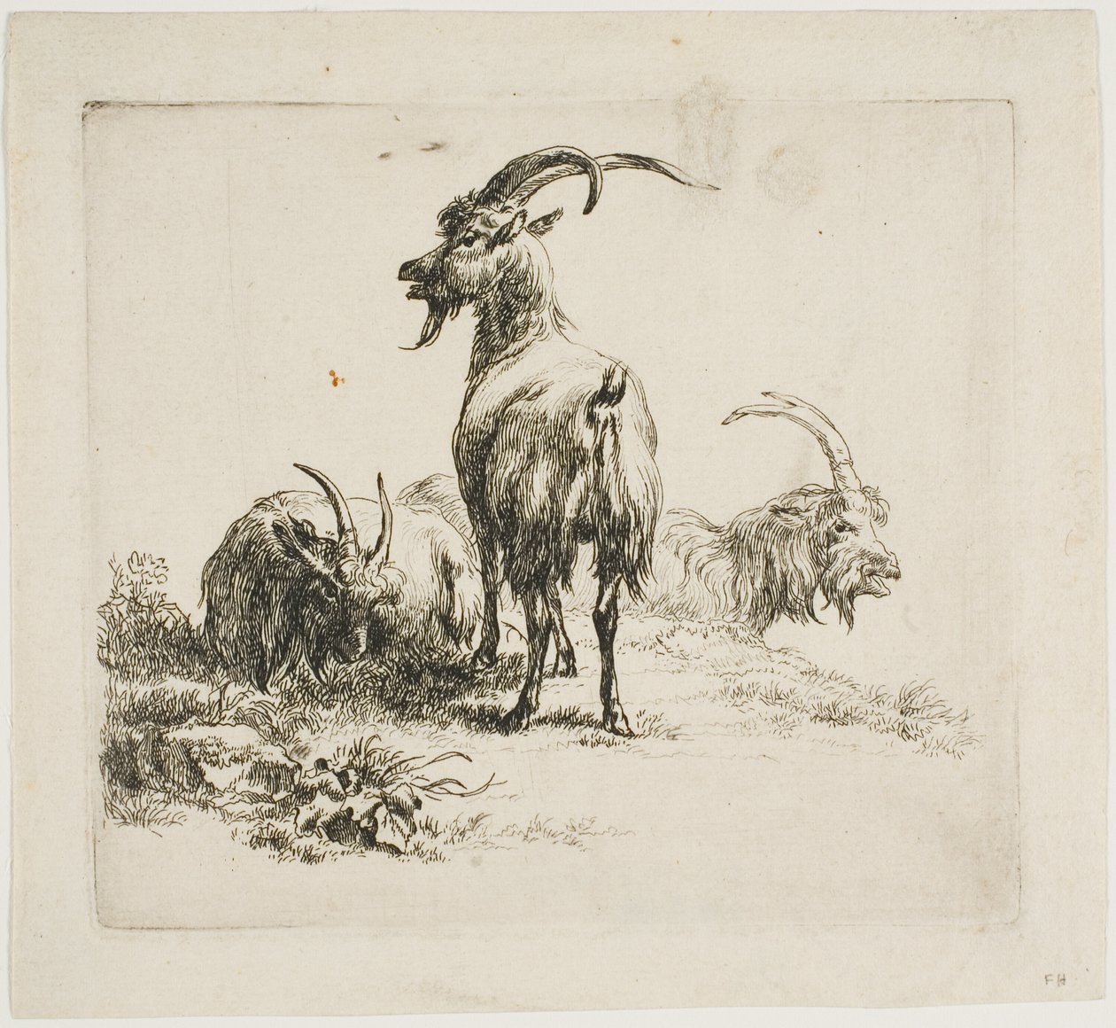 Getter, från olika djur av Nicolaes Berchem