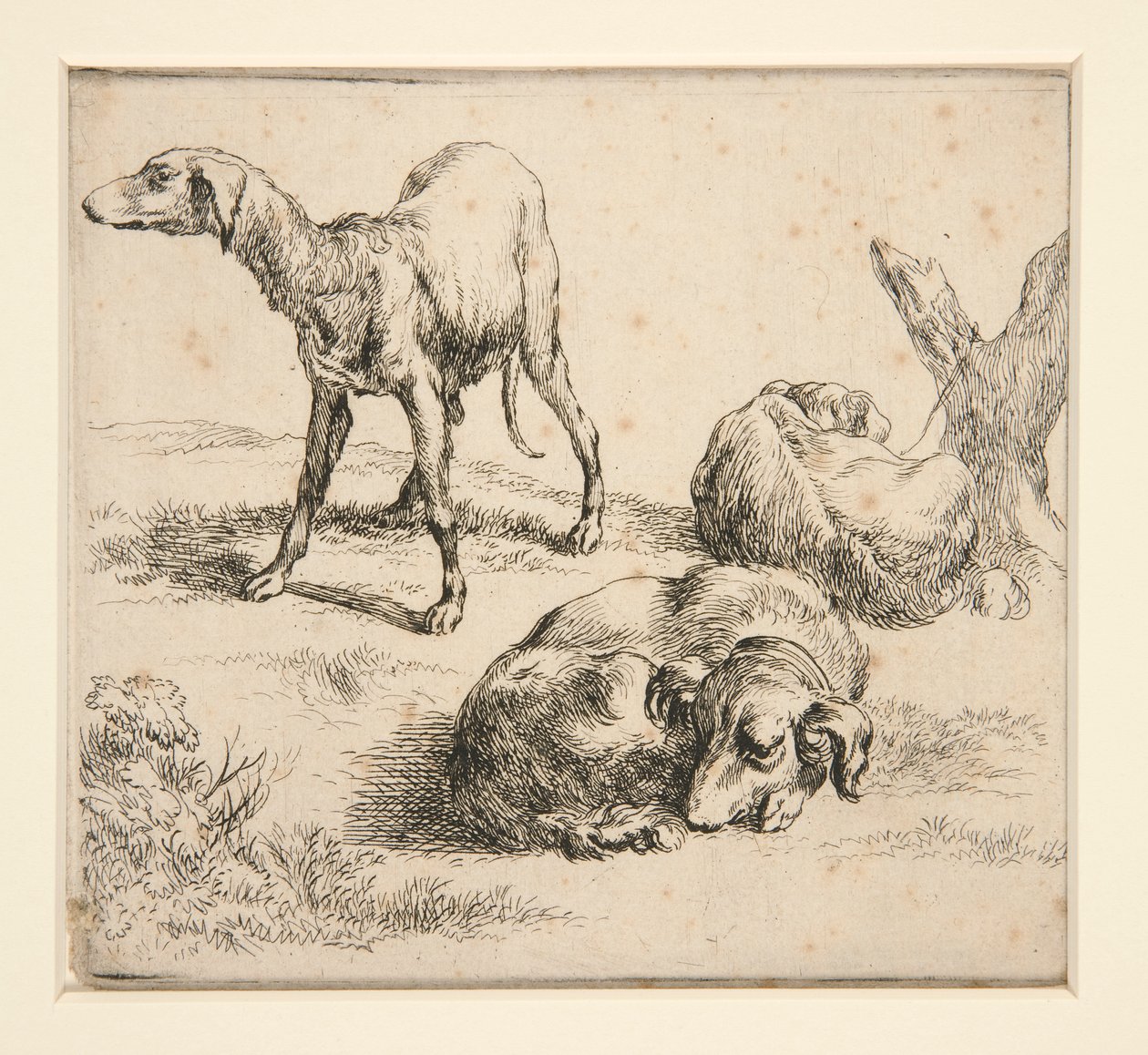 Tre jakthundar (från av Nicolaes Berchem