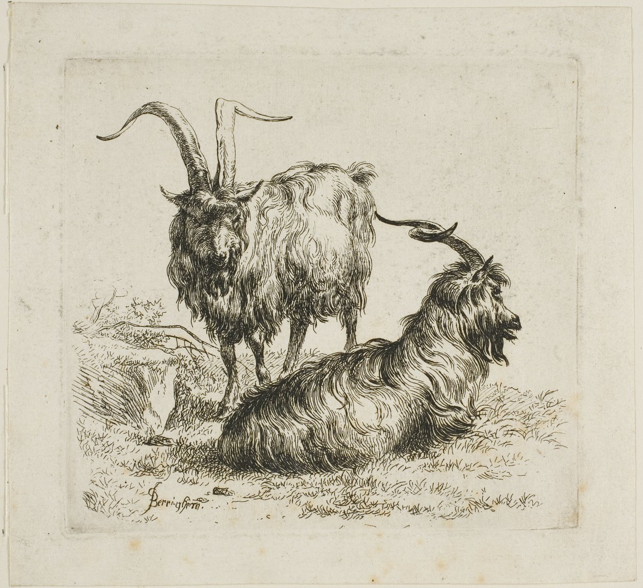 Två getter med stora horn, från olika djur av Nicolaes Berchem