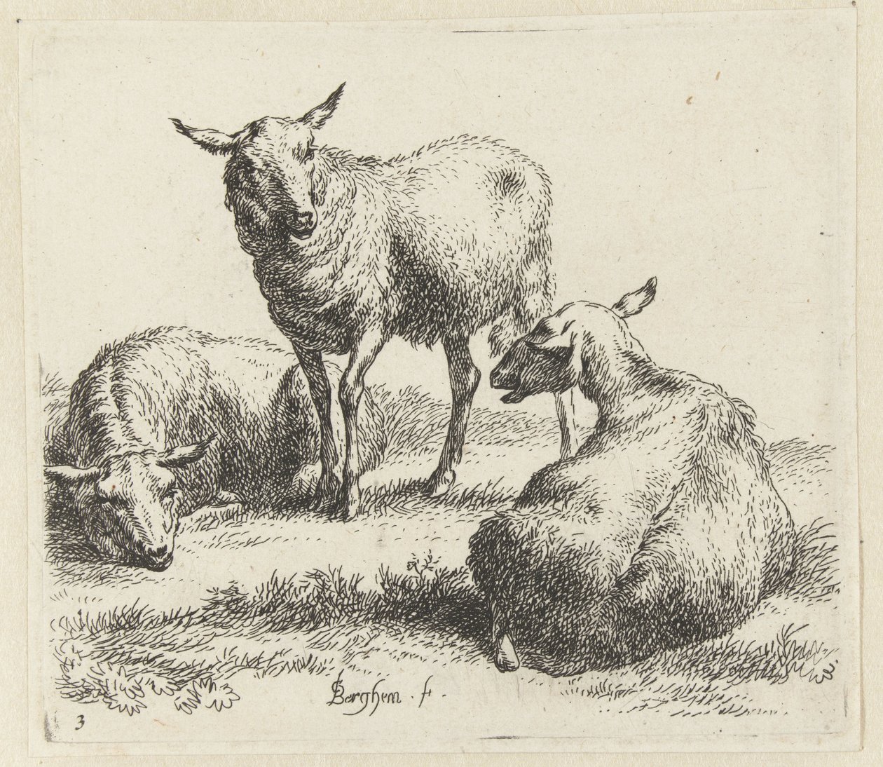 Torka fåren Schapen (serietitel) Djur dragna till liv och tryckta med vatten för stark luft av Studio and Art of Nicolai Berchem (serietitel) av Nicolaes Pietersz Berchem