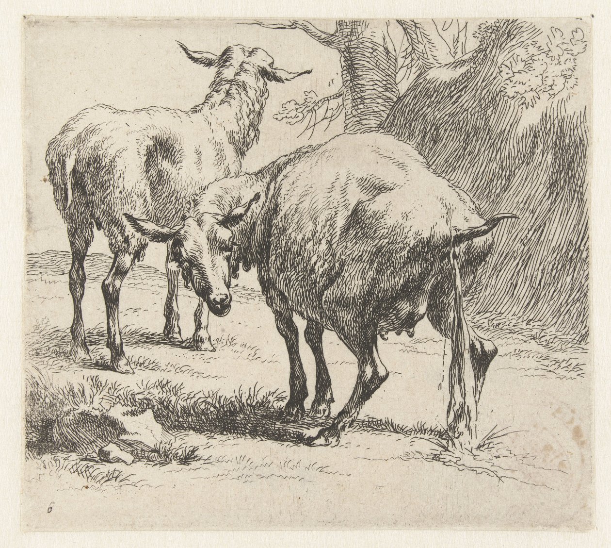 Pissende ooi en een schaap Schapen (serietitel) Djur som dras till liv och trycks i vatten av stark luft av Studio and Art of Nicolai Berchem (serietitel) av Nicolaes Pietersz Berchem