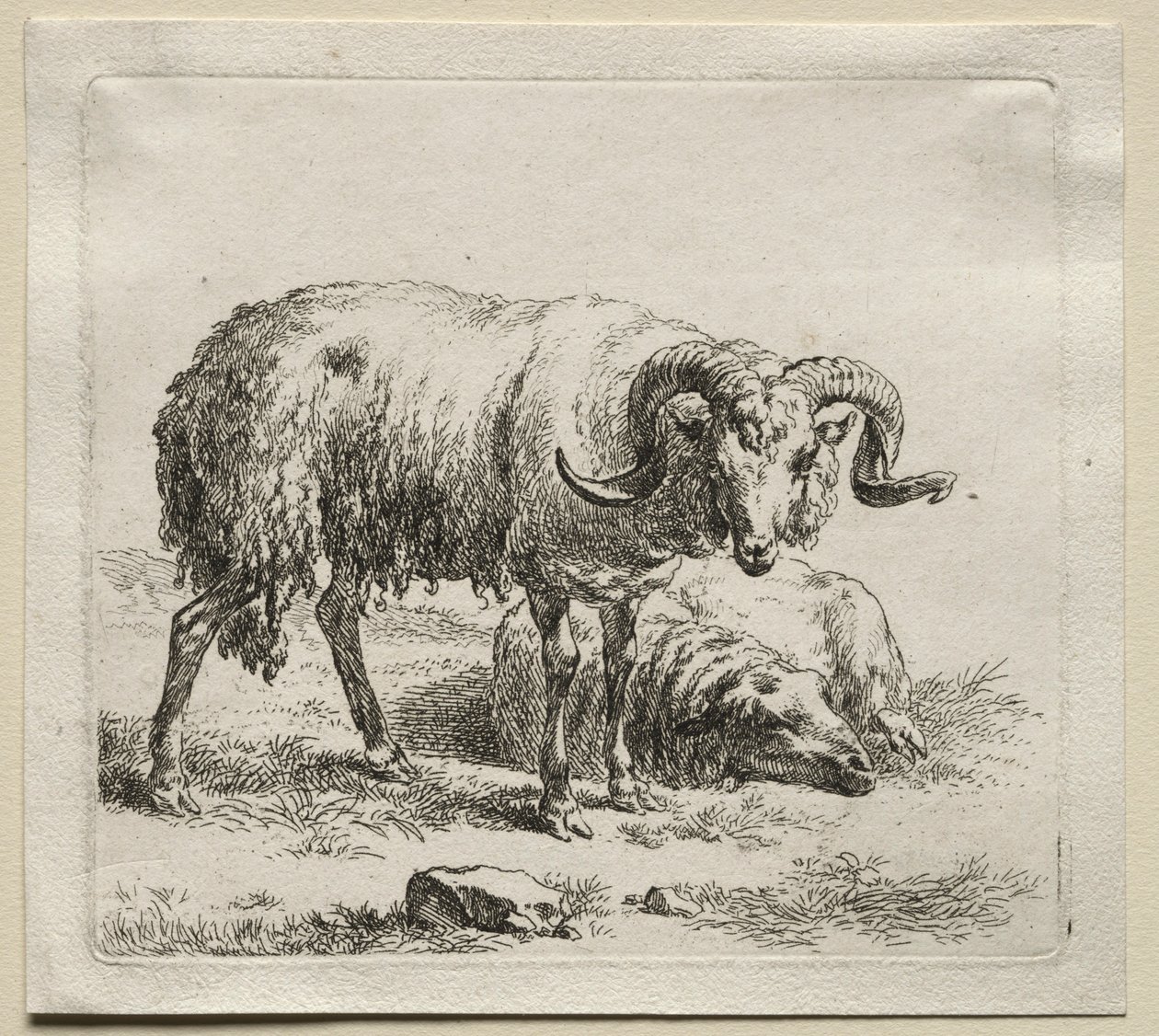 bagge och får. av Nicolaes Pietersz. Berchem