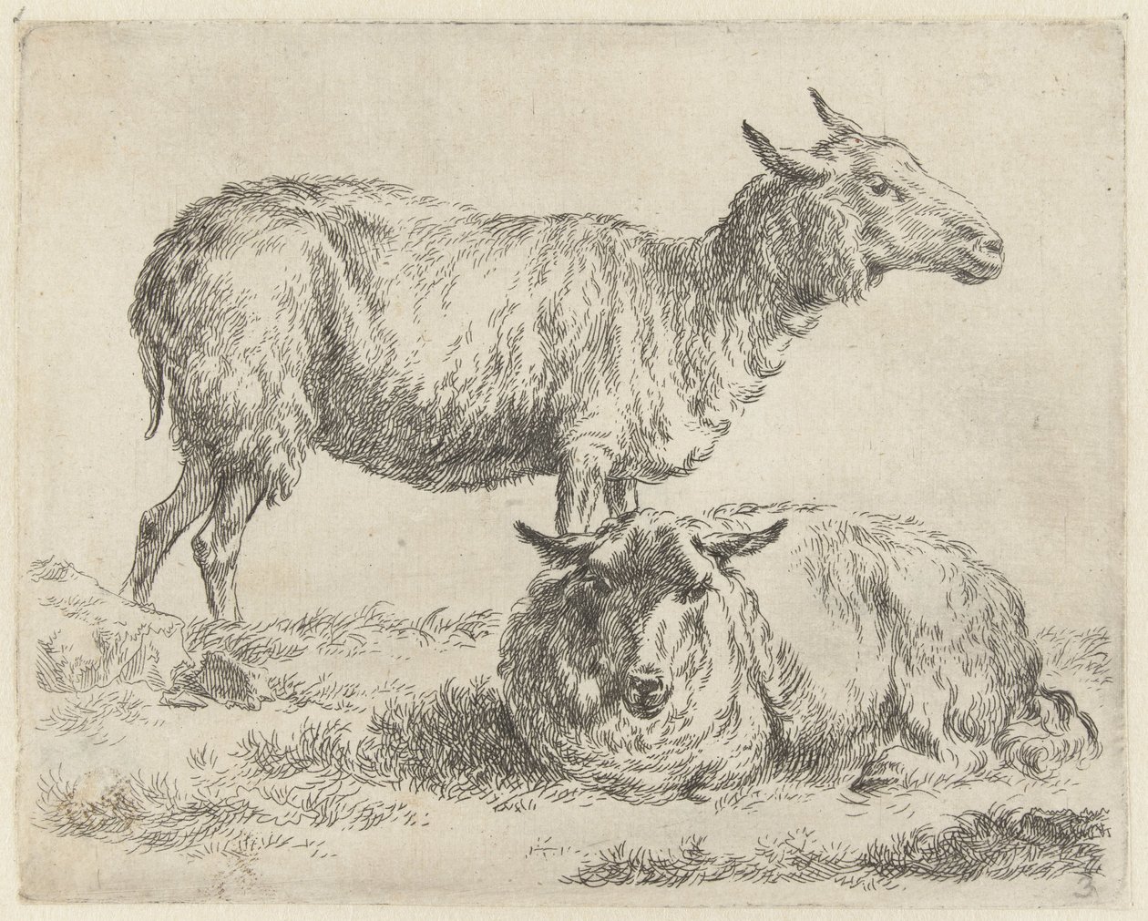 Staand en liggend schaap Schapen (serietitel) Djur som dras till liv och trycks i vatten av stark luft av Studio and Art of Nicolai Berchem (serietitel) av Nicolaes Pietersz Berchem