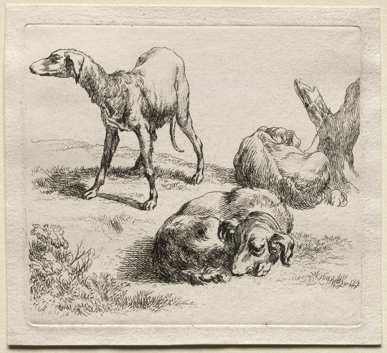Tre jakthundar. av Nicolaes Pietersz. Berchem
