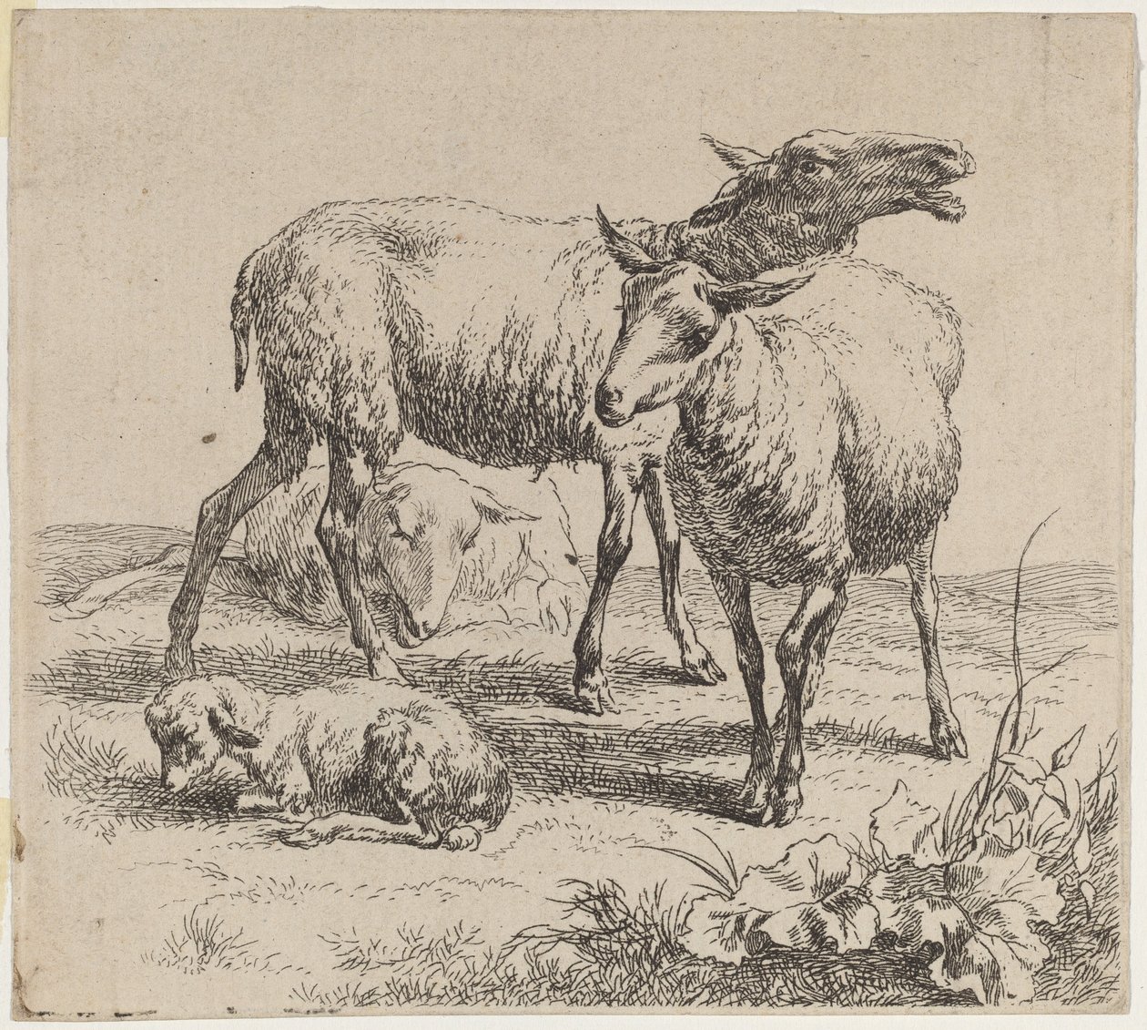 Tre får och ett lamm av Nicolaes Pietersz Berchem