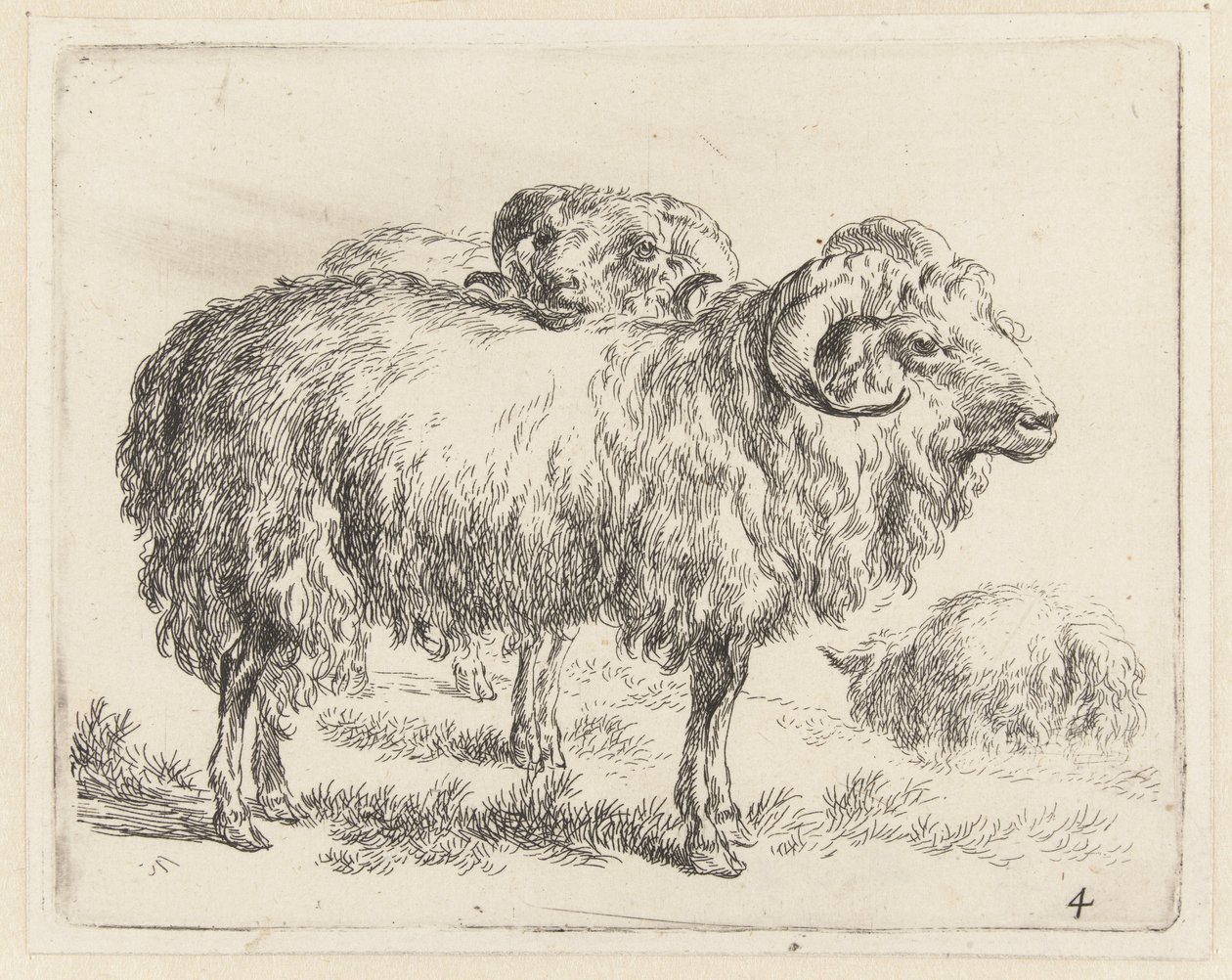 Twee rammen en een schaap Schapen (serietitel) Djur som dras till liv och trycks i vatten av stark luft av Studio and Art of Nicolai Berchem (serietitel) av Nicolaes Pietersz Berchem