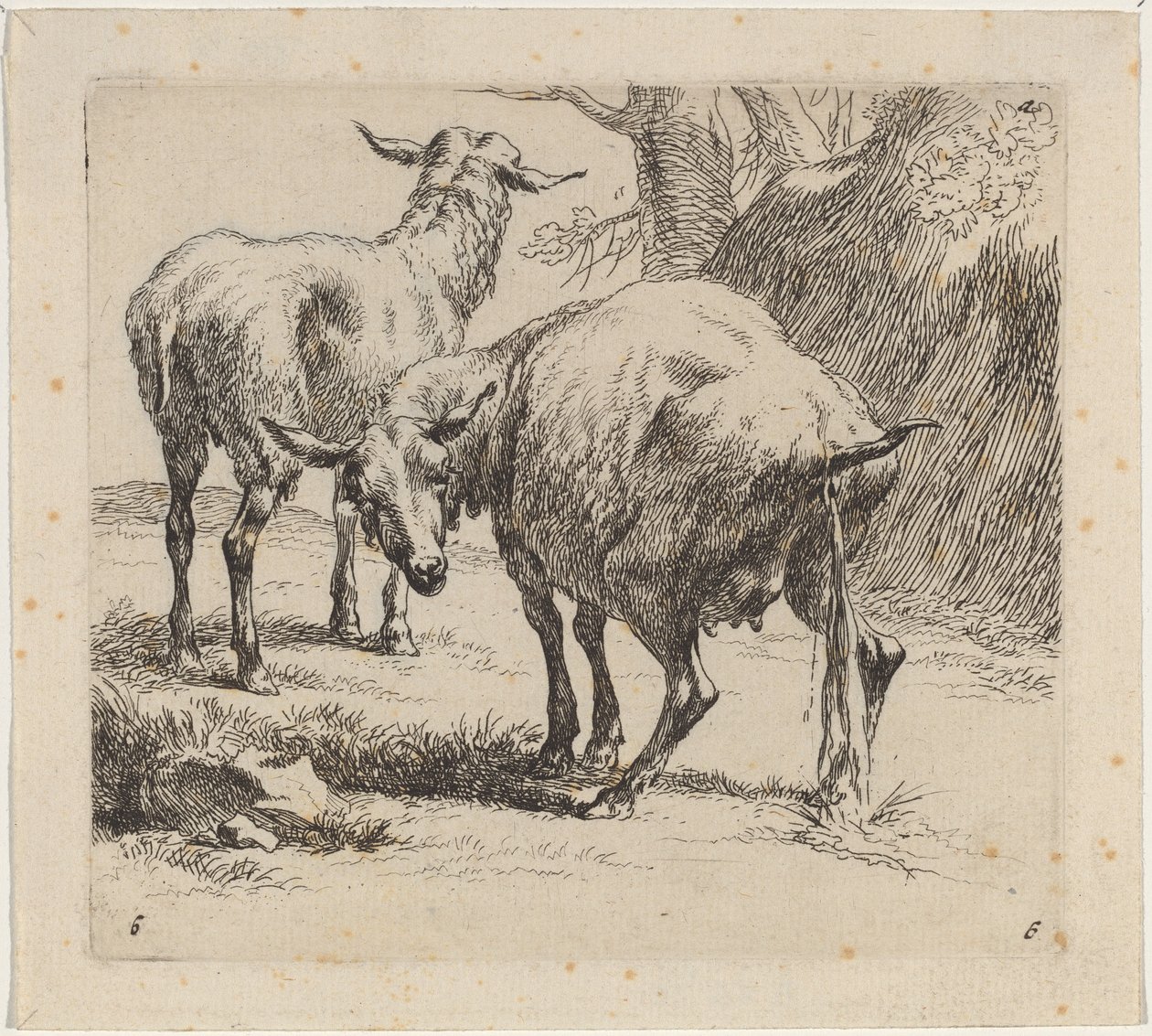 Två får, ett pissande av Nicolaes Pietersz Berchem